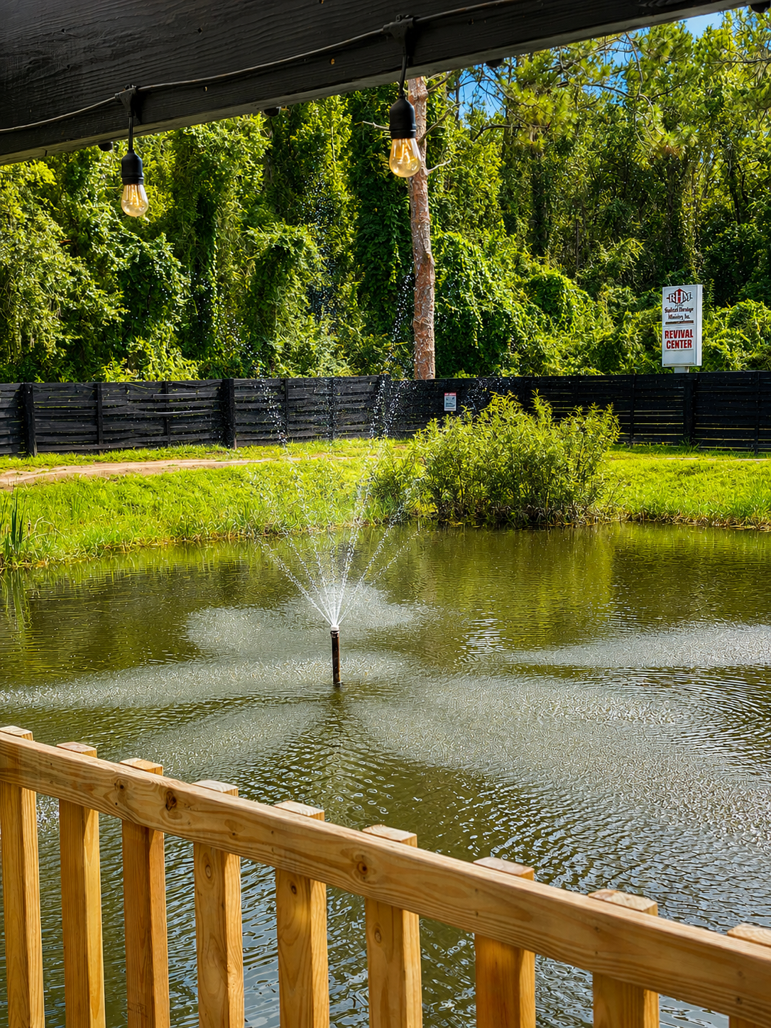 A pond with a fountain in the center, surrounded by green grass and trees, with string lights hanging above and a black fence in the background.