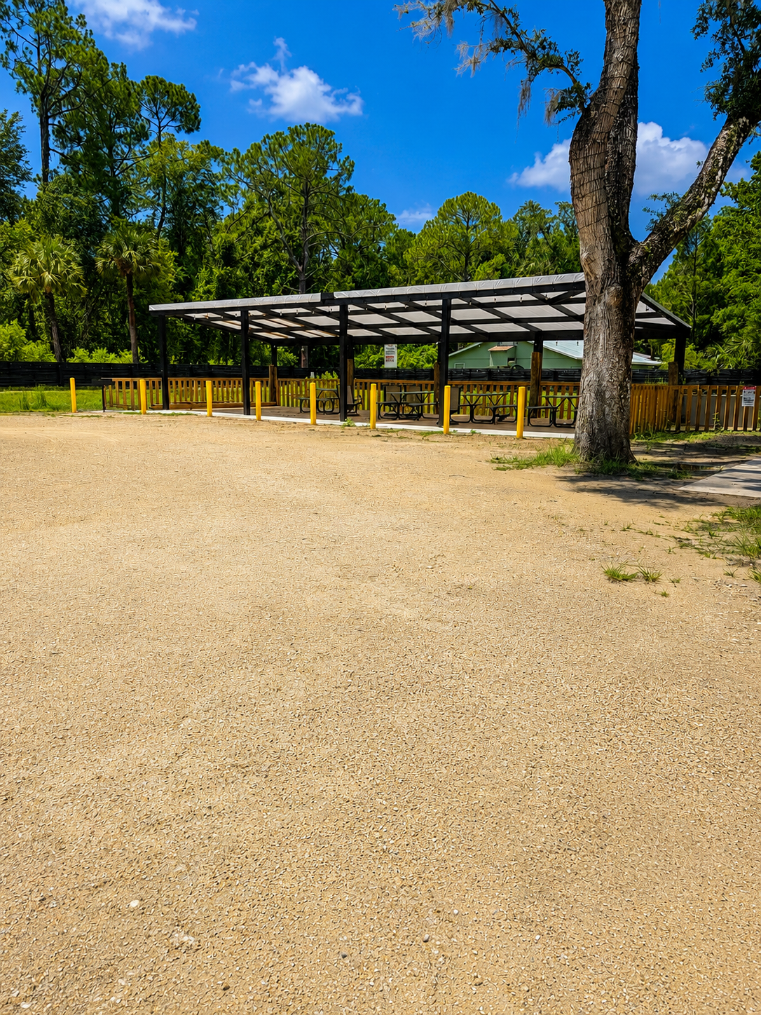 An empty outdoor picnic area with a covered shelter, picnic tables, and bicycle racks, surrounded by trees and a clear blue sky.