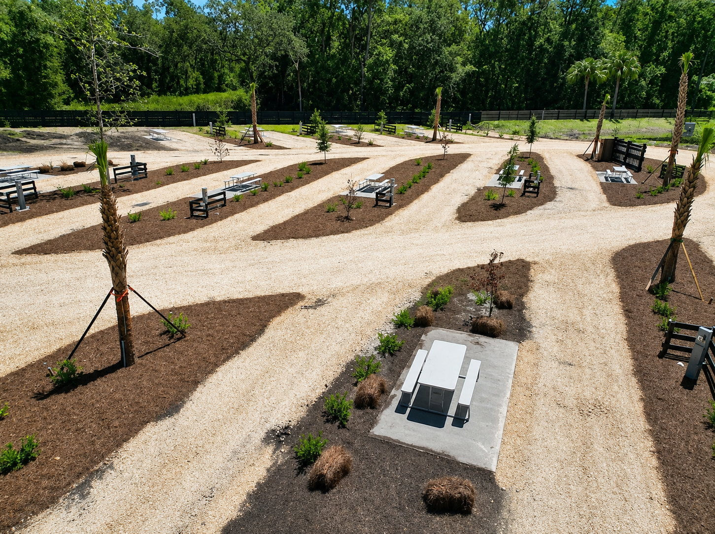 Outdoor image of Glowing Palms RV park with gravel pathways, small trees, bushes, benches, and tables with seating. There are several young trees and large palm trees, and a dense green forest in the background.
