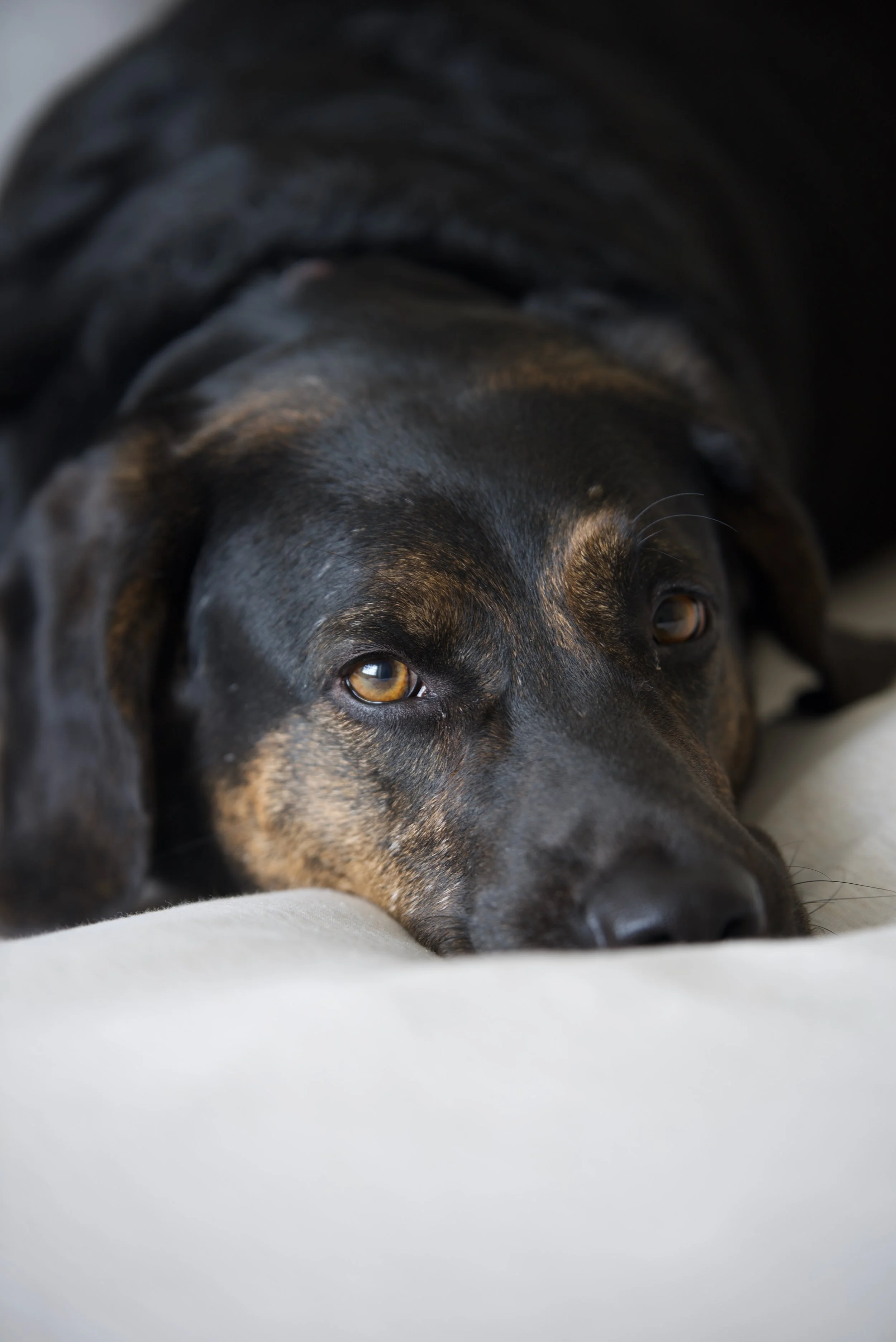 DSC_0555.jpeg