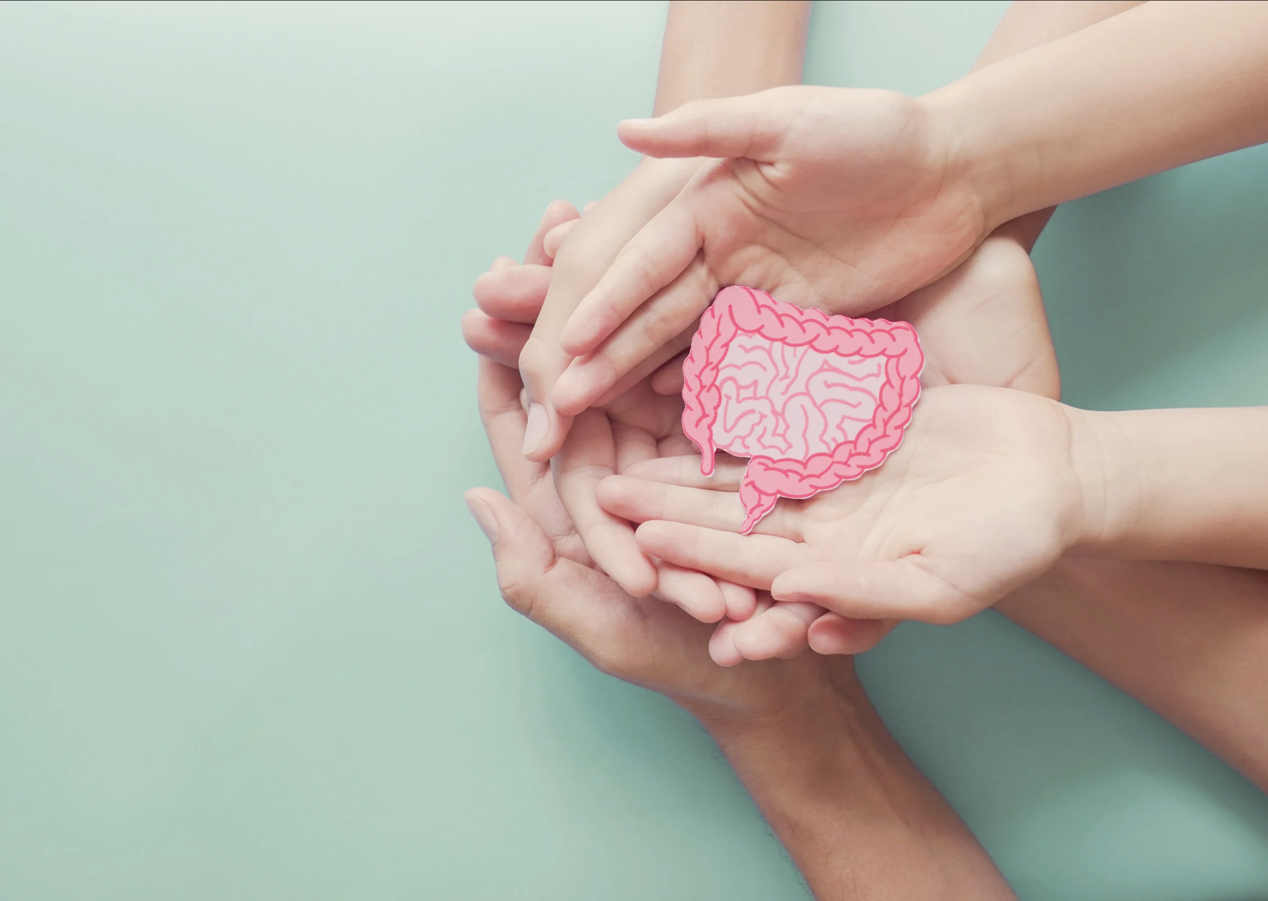 The Link Between Gut Health and Your Child’s Development