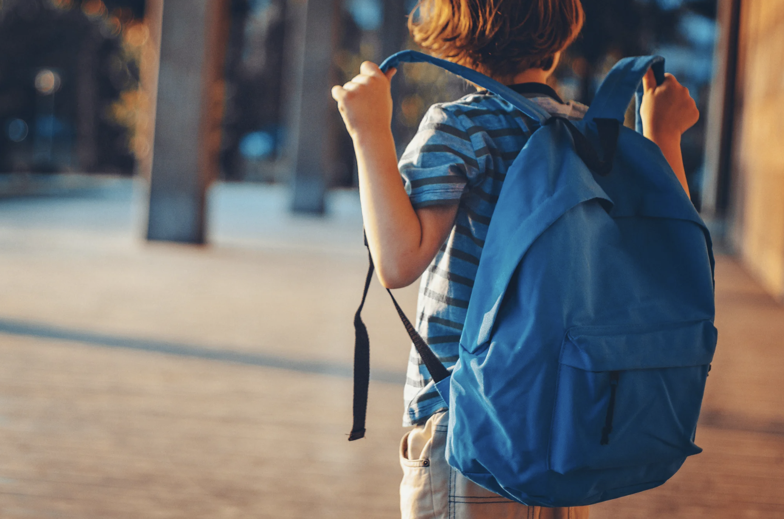 Preparing for School Transitions