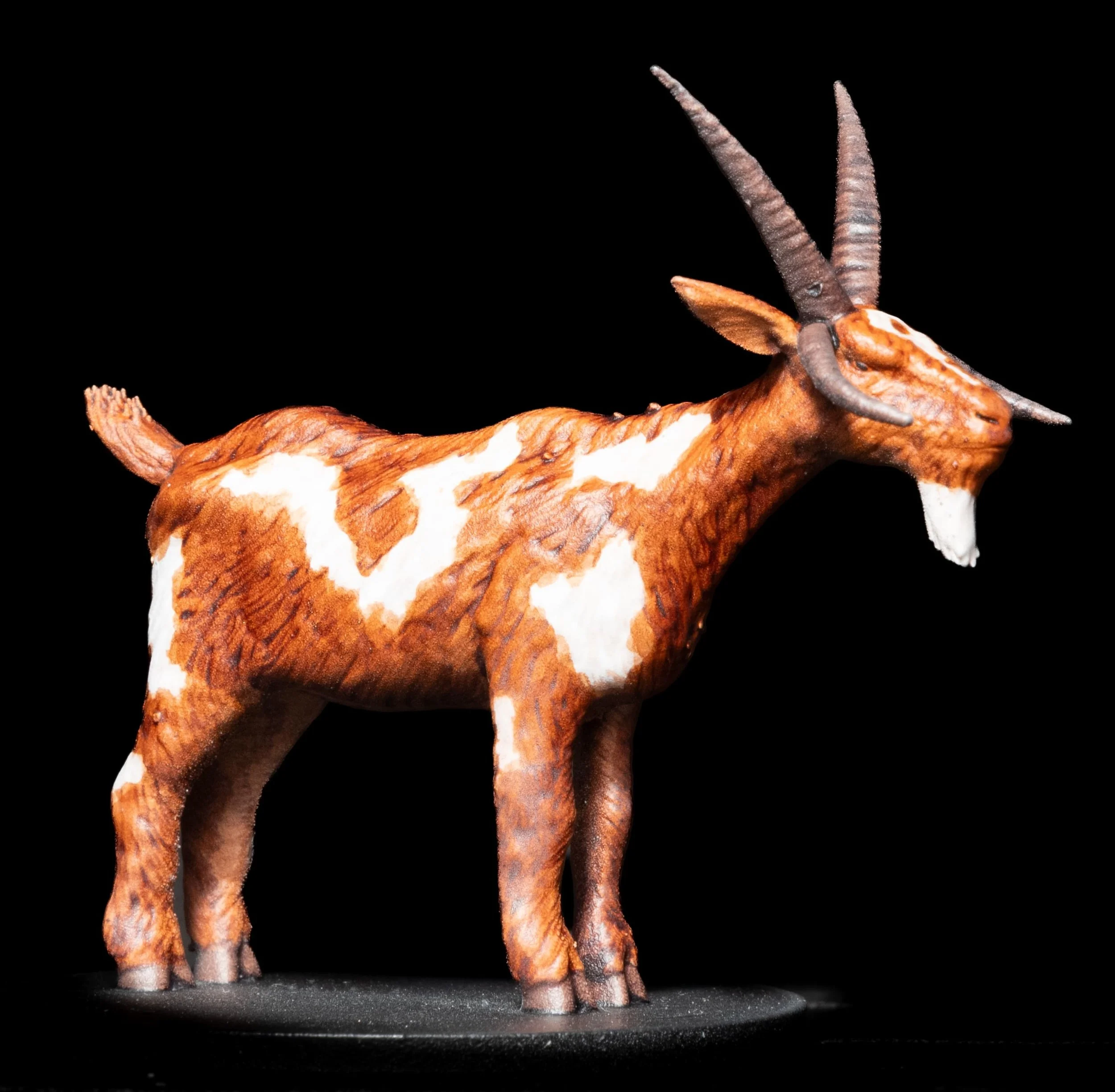 GIANT GOAT