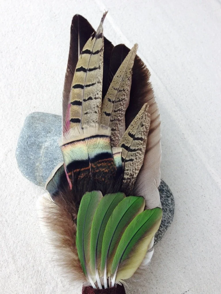 A collection of various colorful bird feathers resting on smooth stones.
