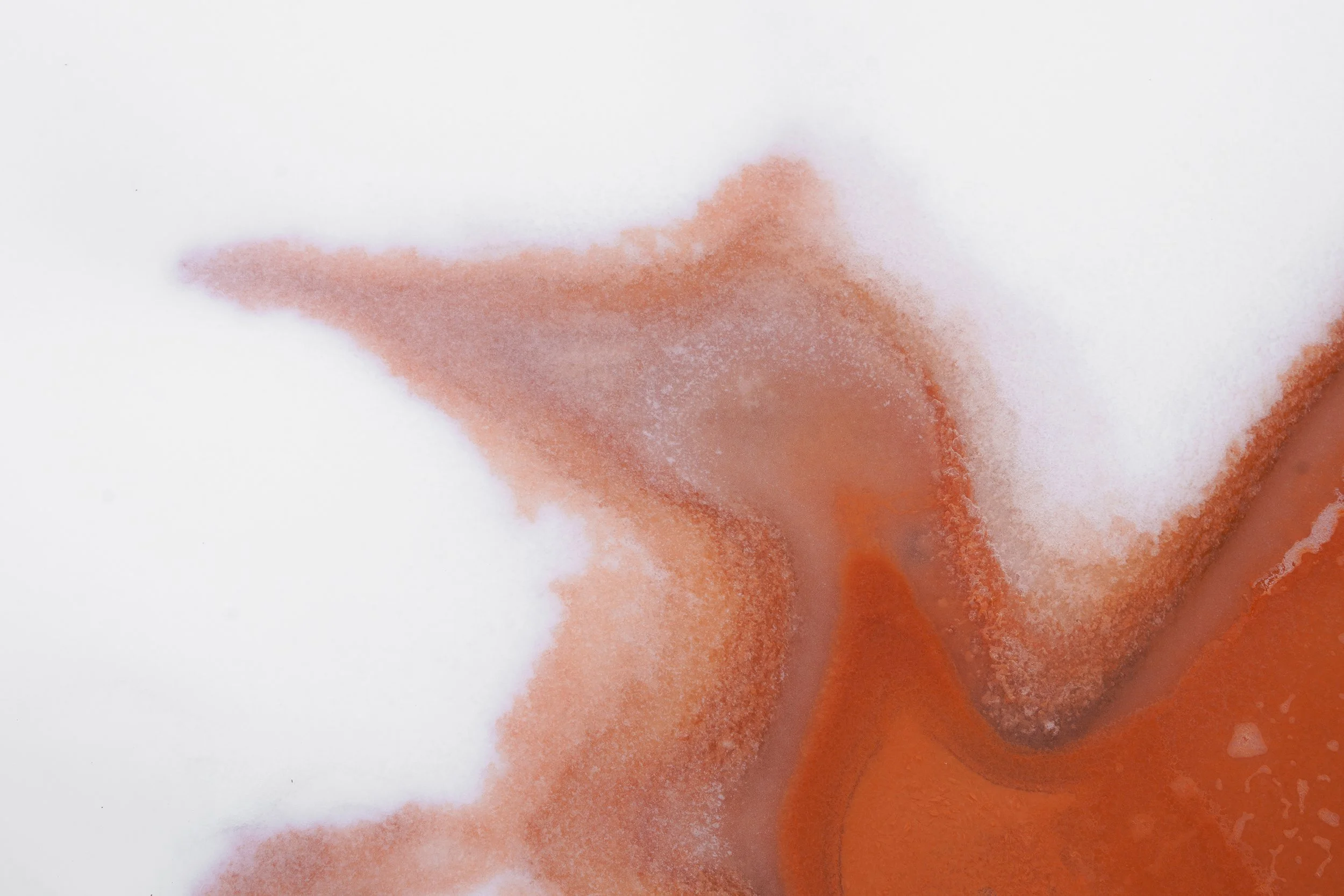 Close-up of orange and pink powdered substance on white paper.