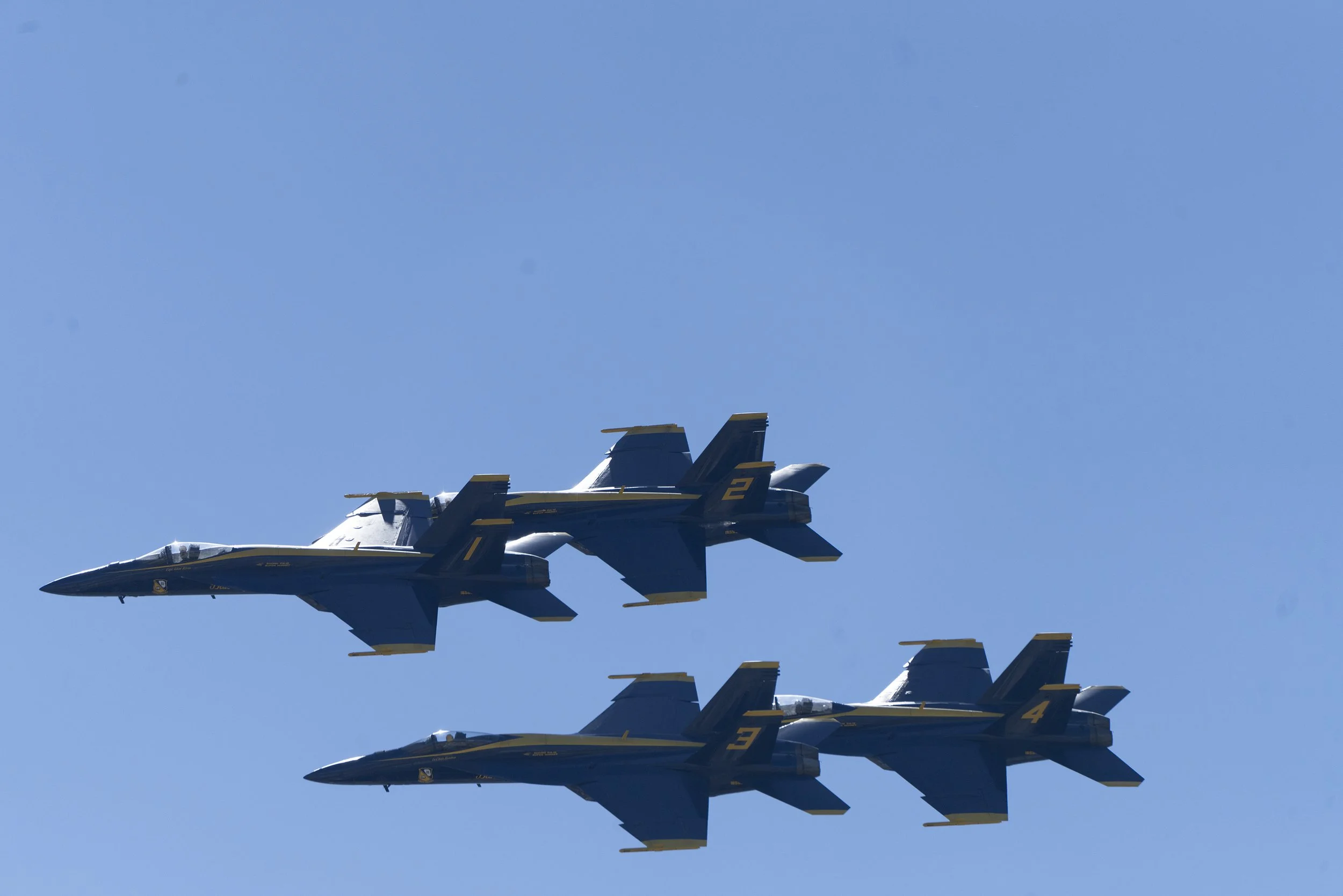 DSC02391-2.jpg