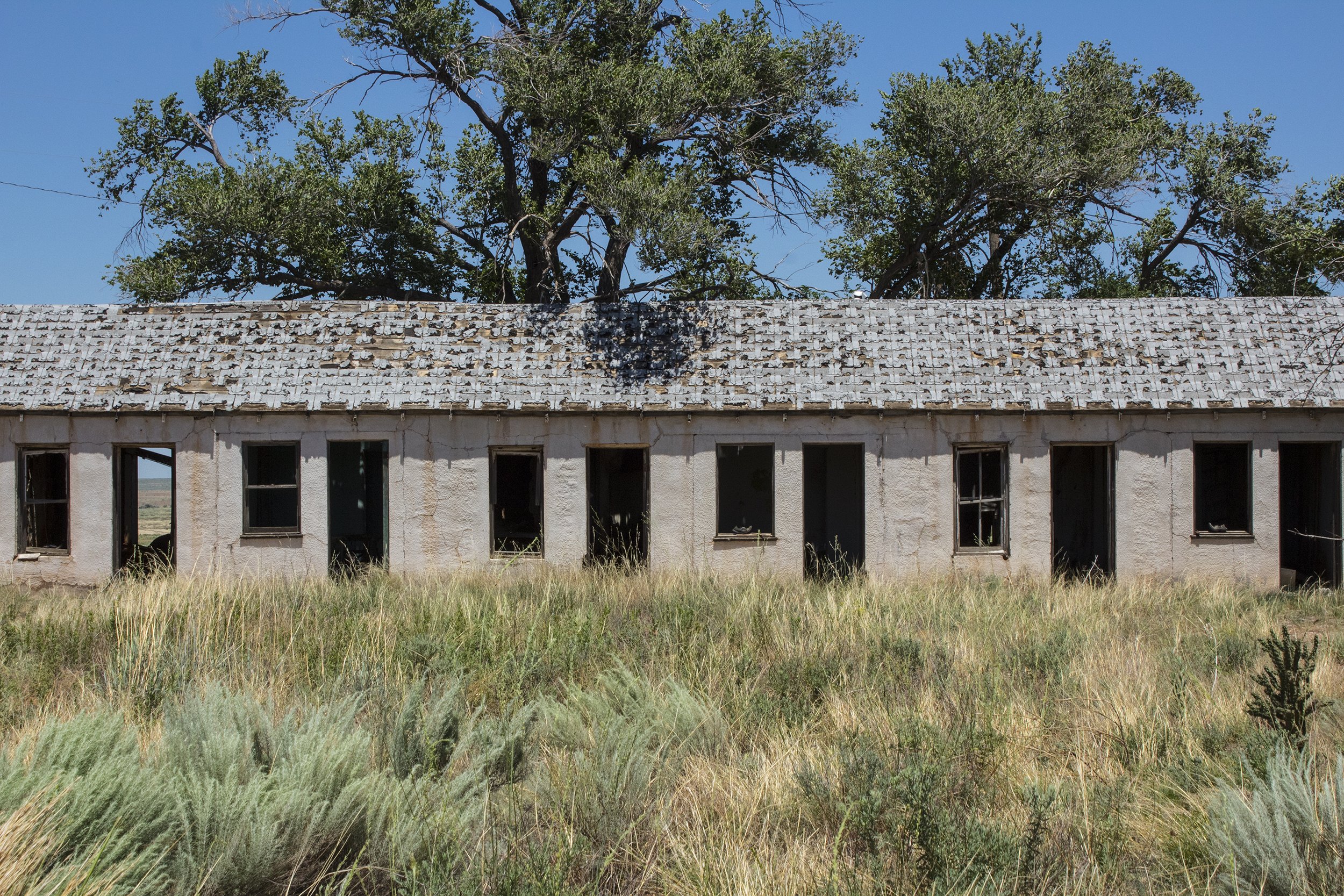 An abandoned building with broken windows, a weathered roof, and overgrown grass in the foreground, with a large tree behind the building under a clear blue sky.