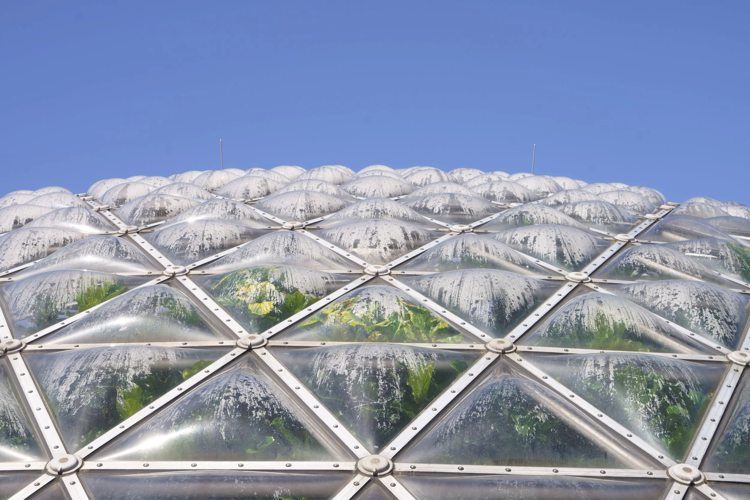 Close-up view of a transparent geodesic dome roof with visible green plants inside, set against a blue sky.