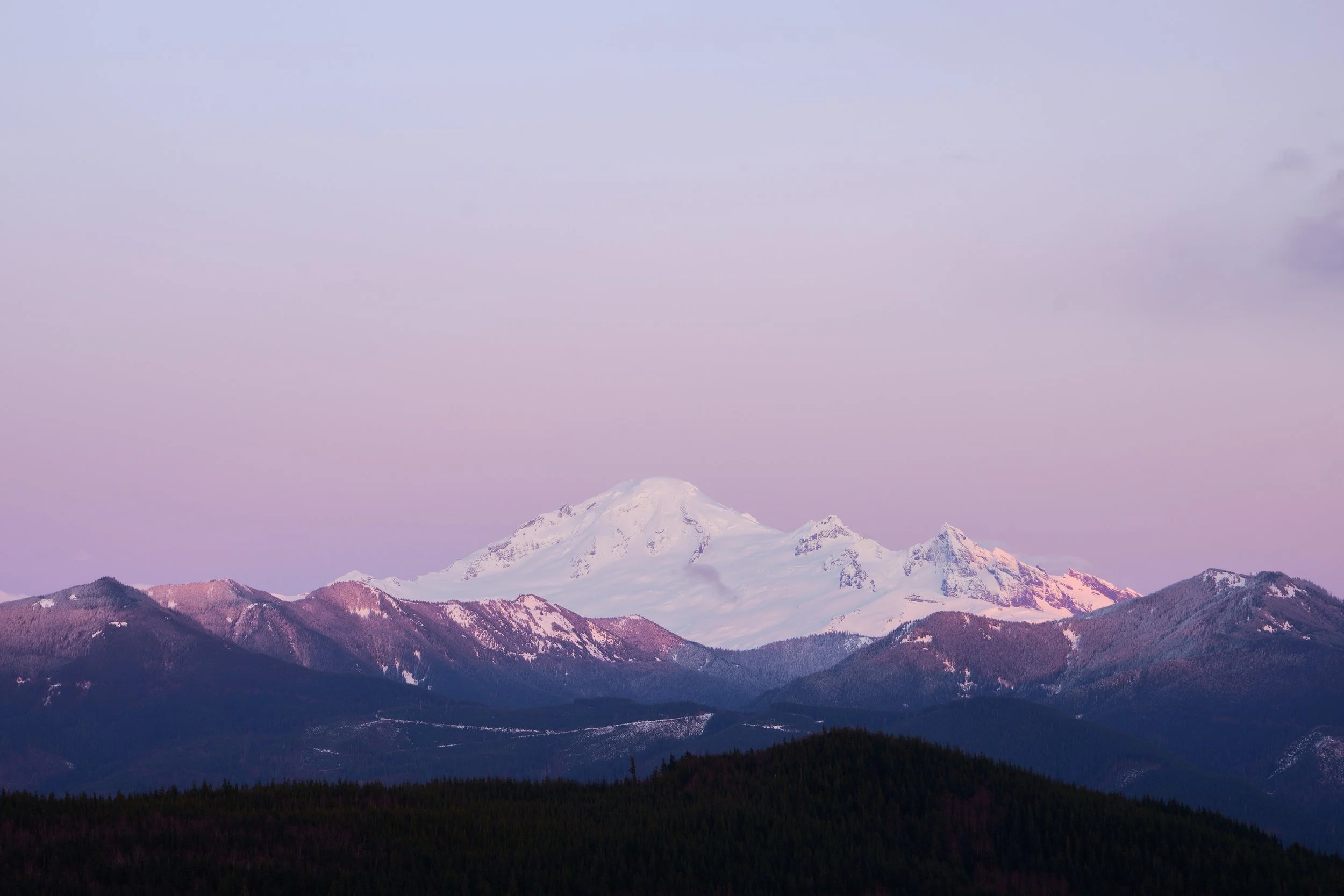 Snow-capped mountain peak, likely Mount Rainier, with a purple sky background and rolling dark forested hills in the foreground.