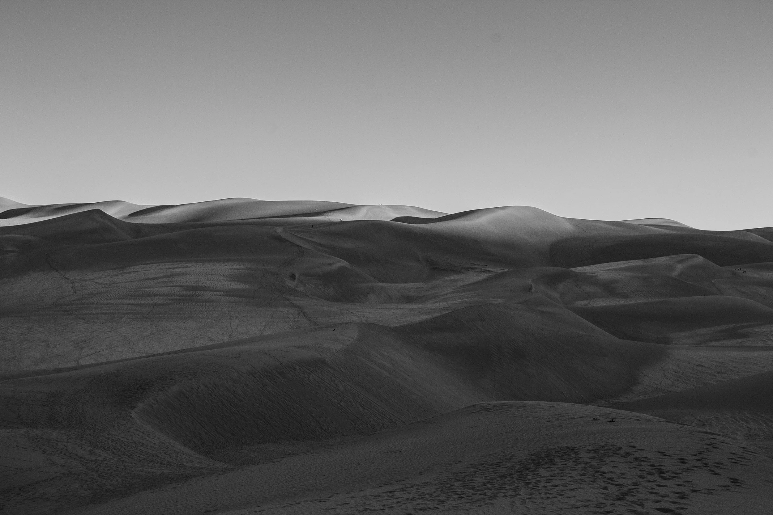 Black and white photo of sand dunes with smooth, rounded shapes and tire tracks extending across the desert landscape.