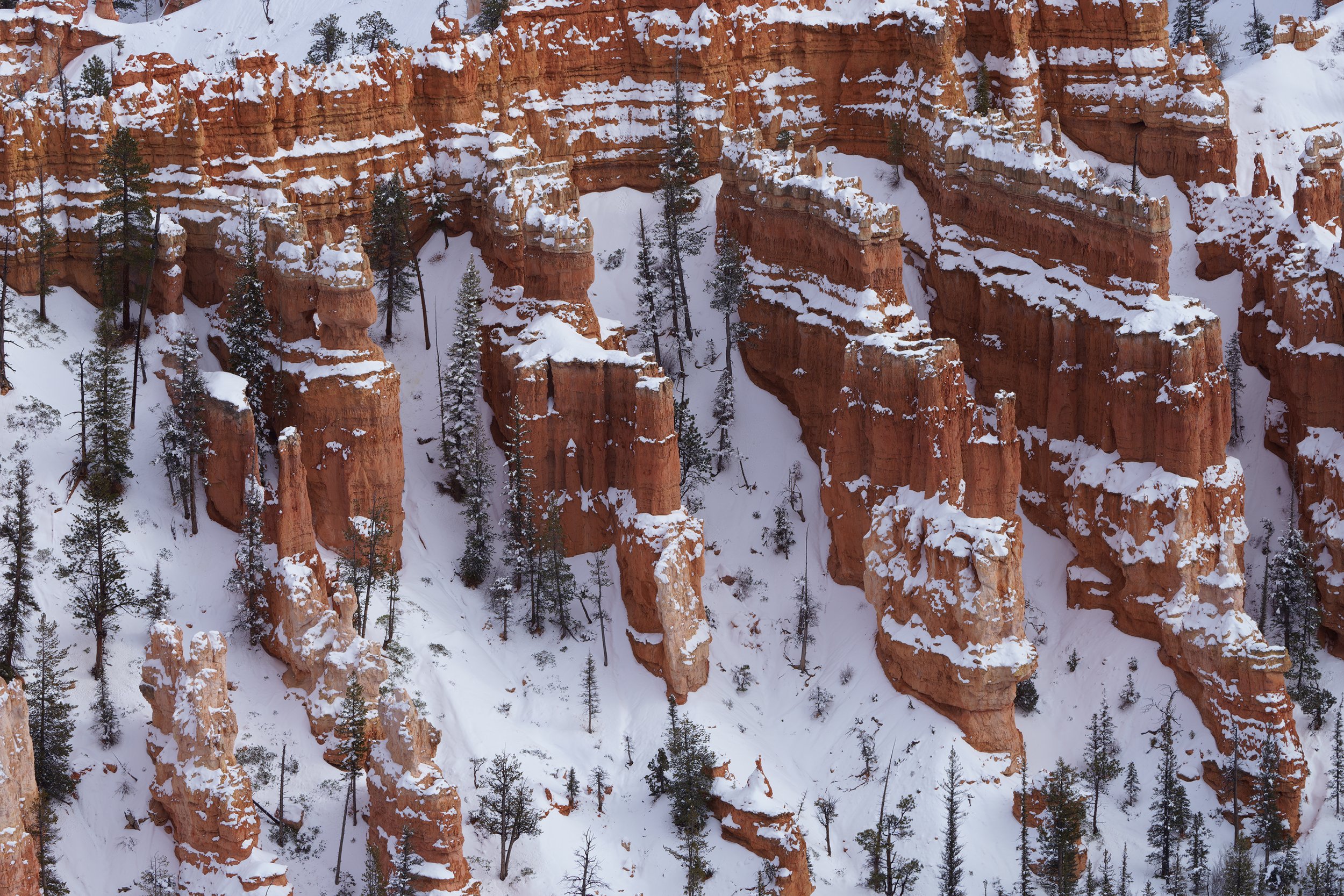 Snow-covered red rock formations with sparse trees in a canyon or mountain landscape.
