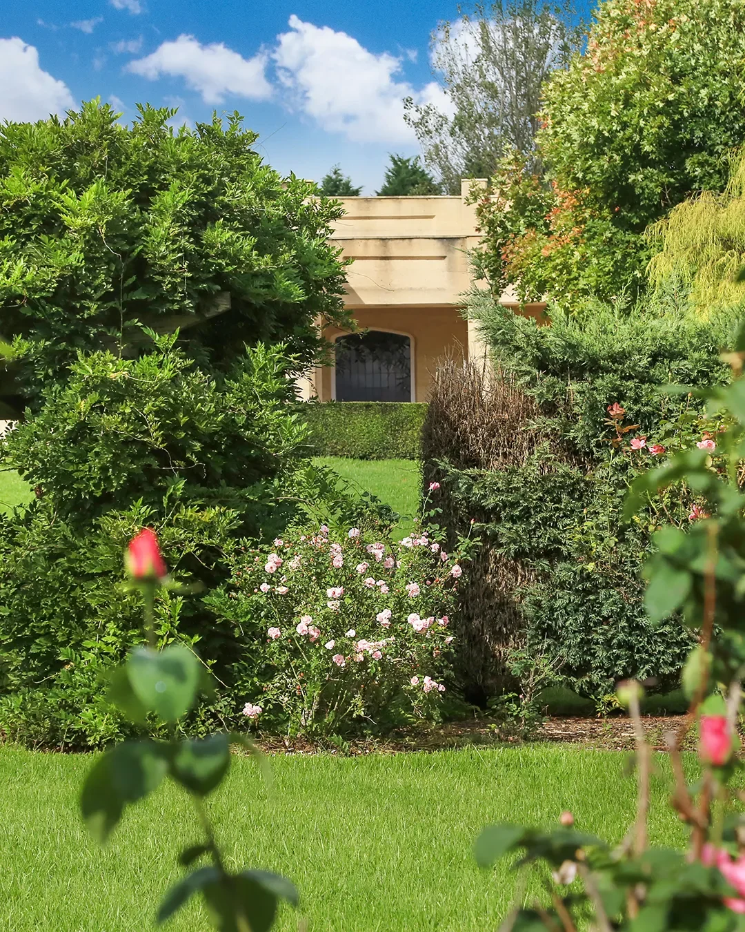 Lush garden with various green bushes and flowering plants in front of a beige house under a bright blue sky with some clouds.