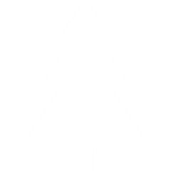 Silhouette of a Christmas tree on a black background.
