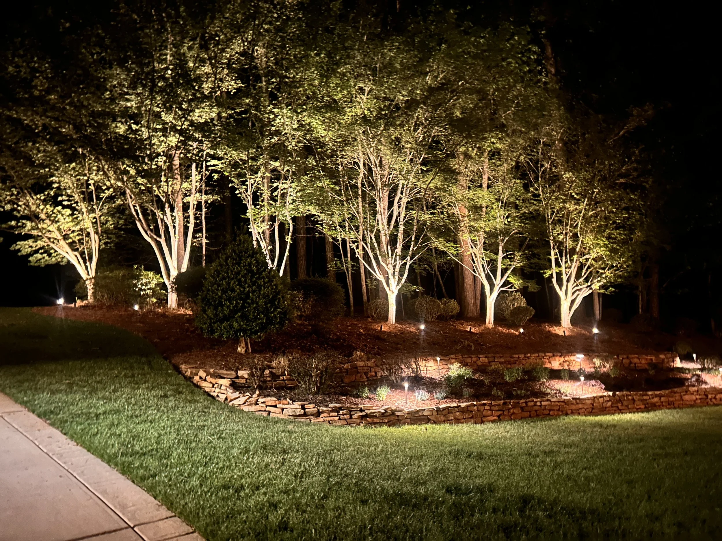 Nighttime scene of a landscaped yard with trees illuminated by outdoor lighting, a brick border, and a sidewalk in the foreground.