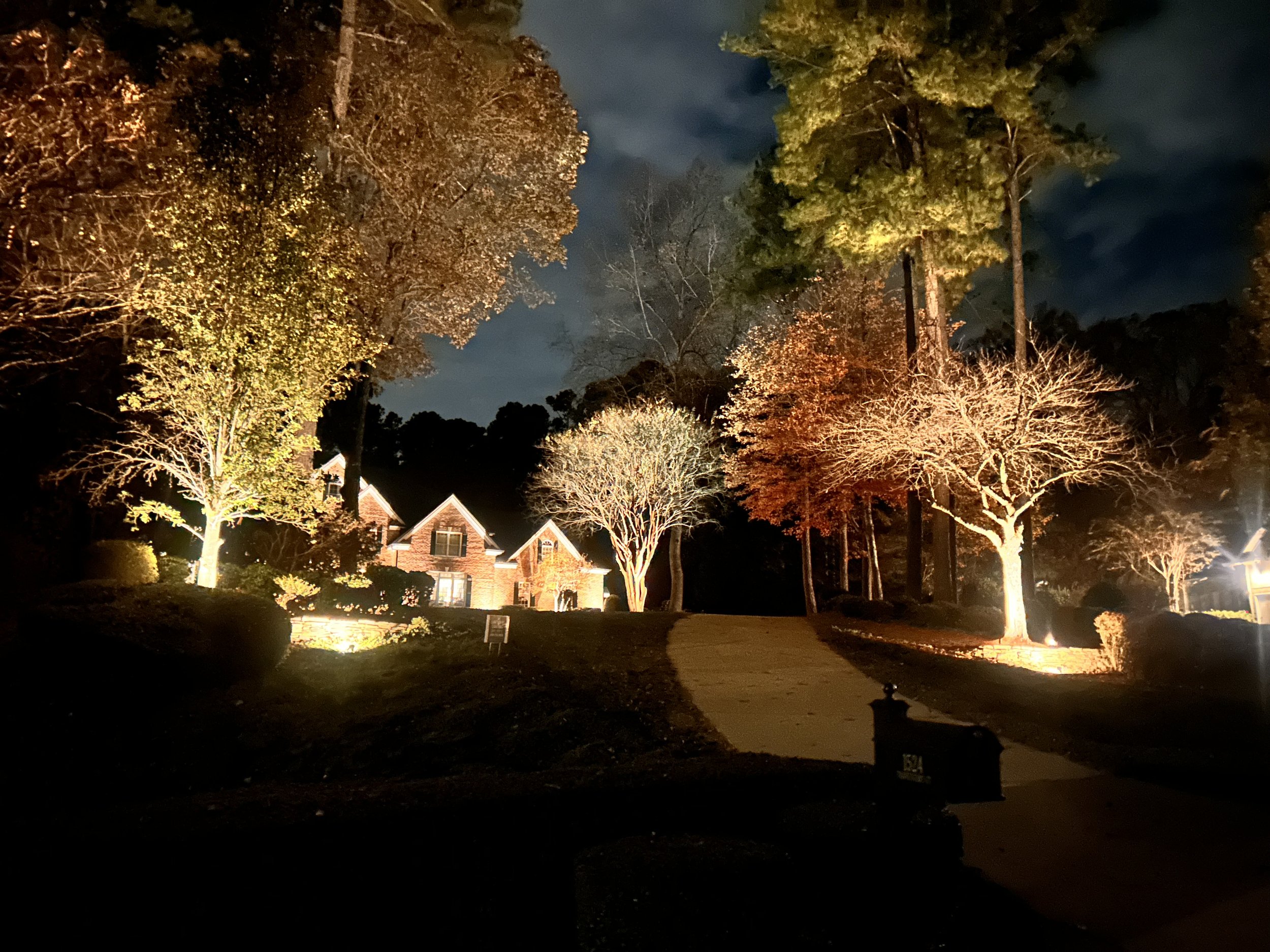 Night view of a residential street with trees illuminated by outdoor lighting, houses with lit windows, and a dark, cloudy sky.
