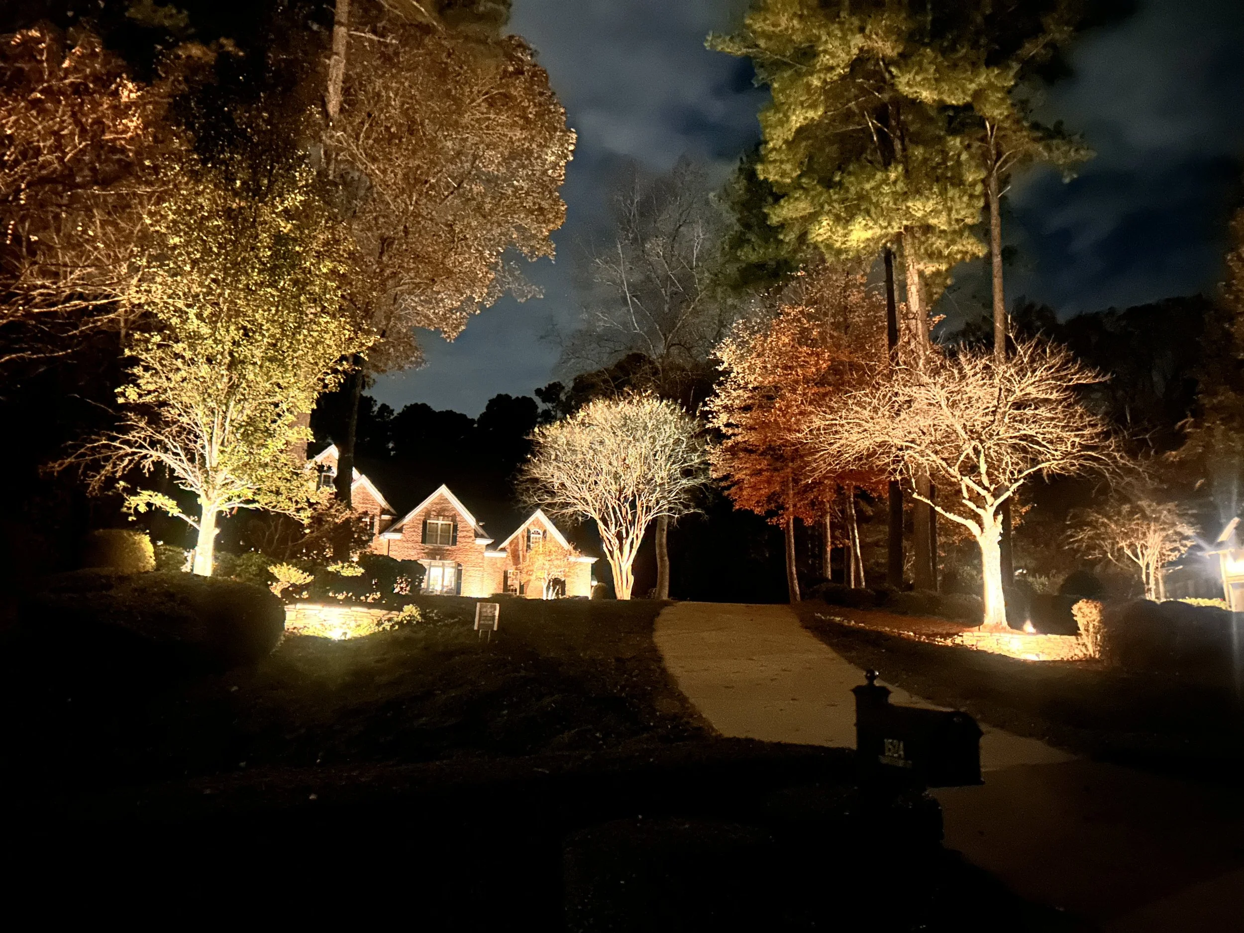 Nighttime scene of trees illuminated by outdoor lights in a suburban neighborhood, with houses visible in the background and a dark sky above.