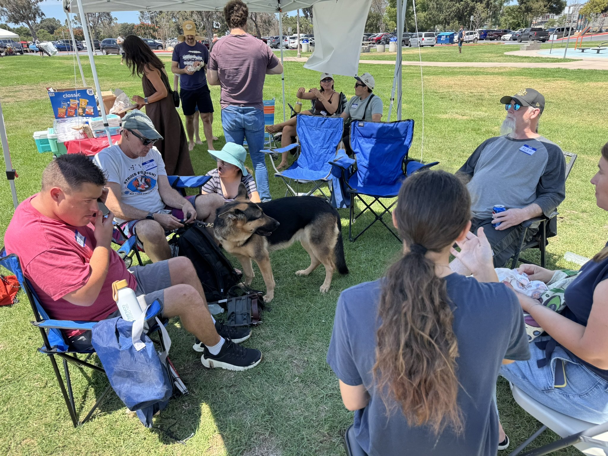 Summer Picnic-Looking for Shade