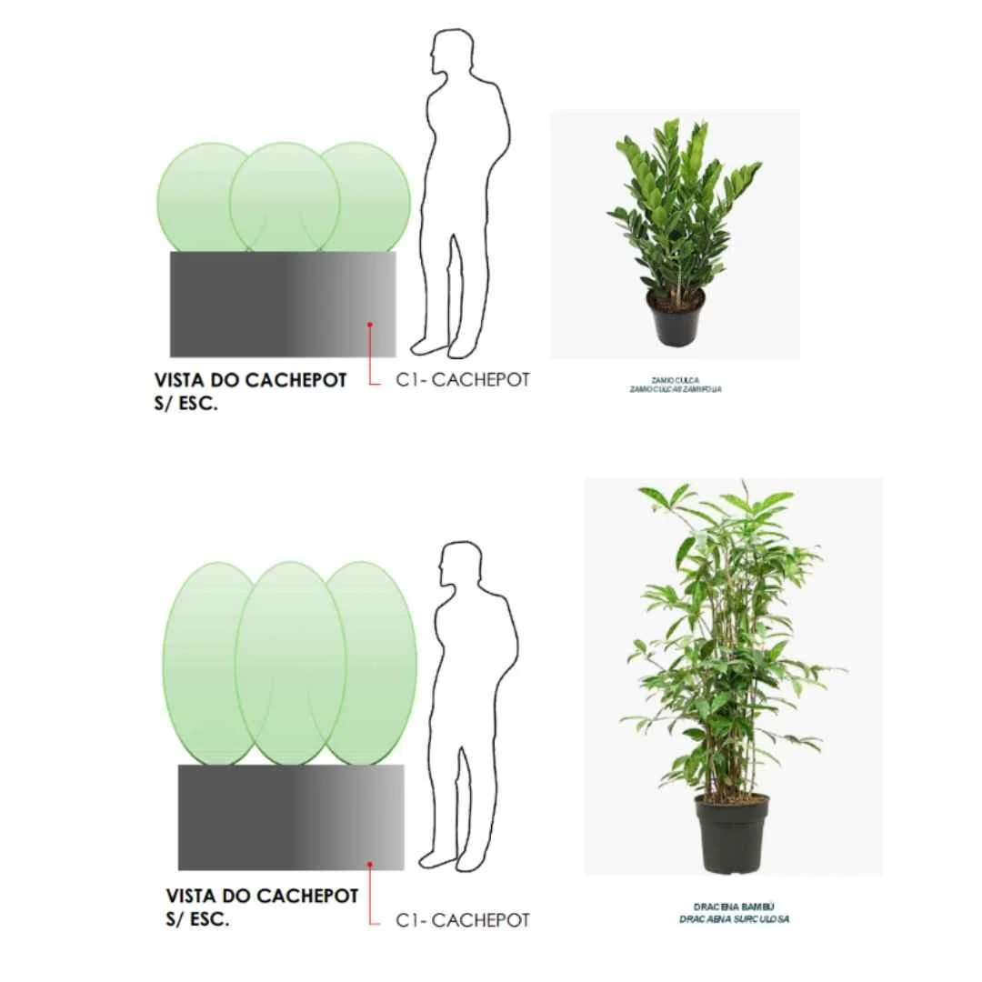 Estudo de composição dos vasos e volumes vegetais, considerando escala, proporção e presença da vegetação nos corredores.