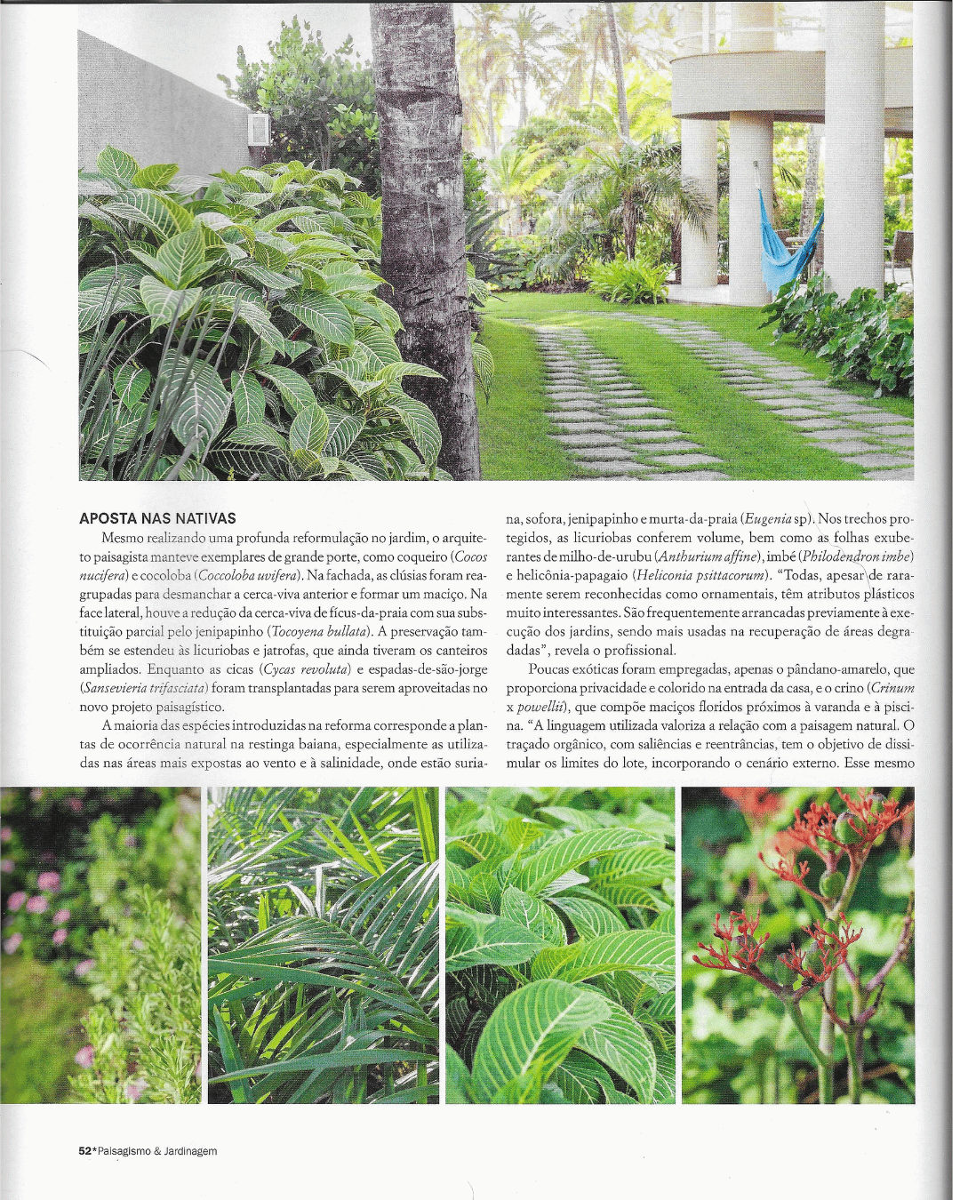 Página da reportagem “Paisagem integrada”, publicada em 2013, com fotografias do jardim e destaque para o emprego de espécies nativas da restinga baiana.