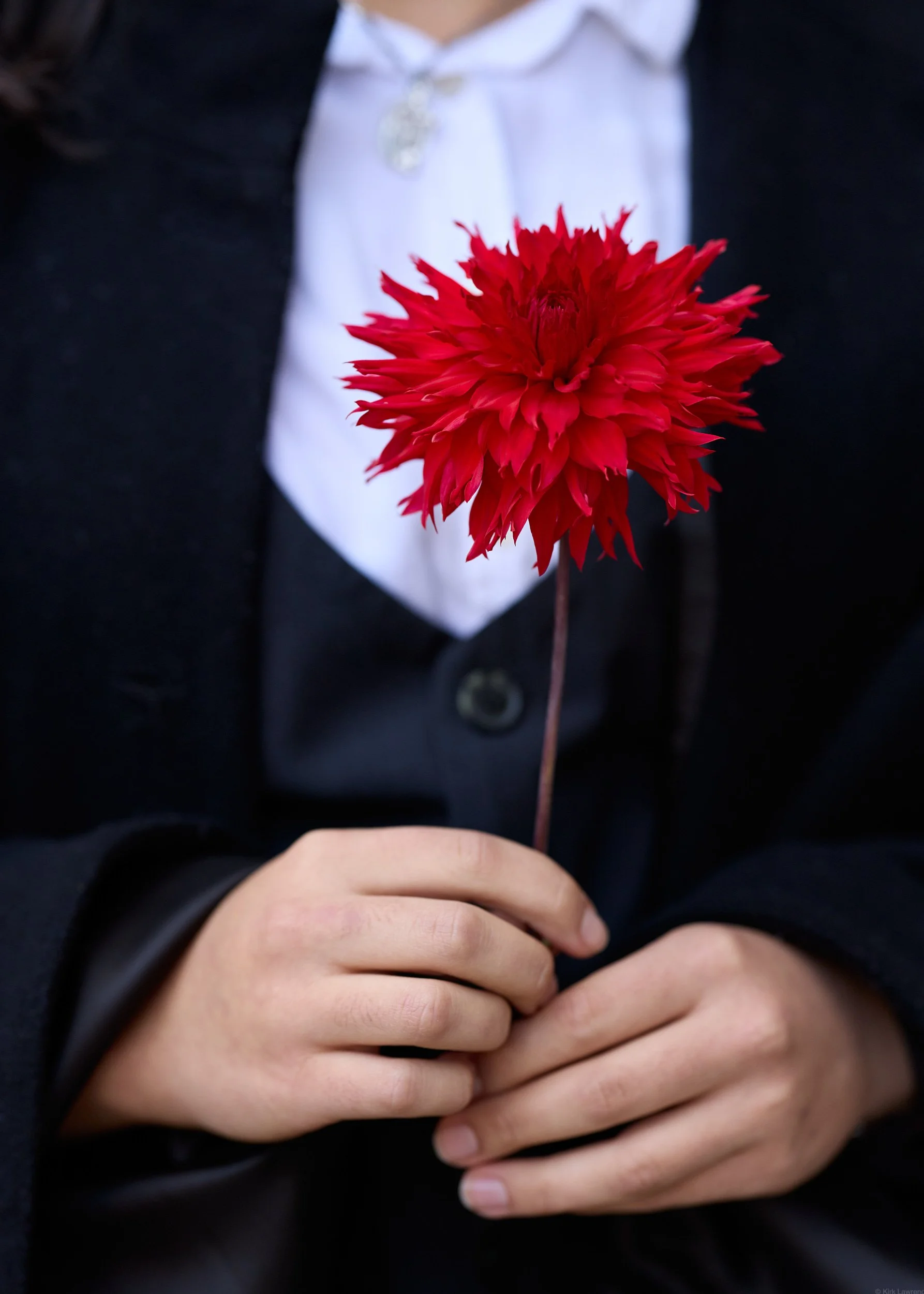 Person in formal attire holding a bright red flower in front of their chest. The person is wearing a black jacket, white shirt, and a silver pendant necklace. The focus is on the flower and hands.