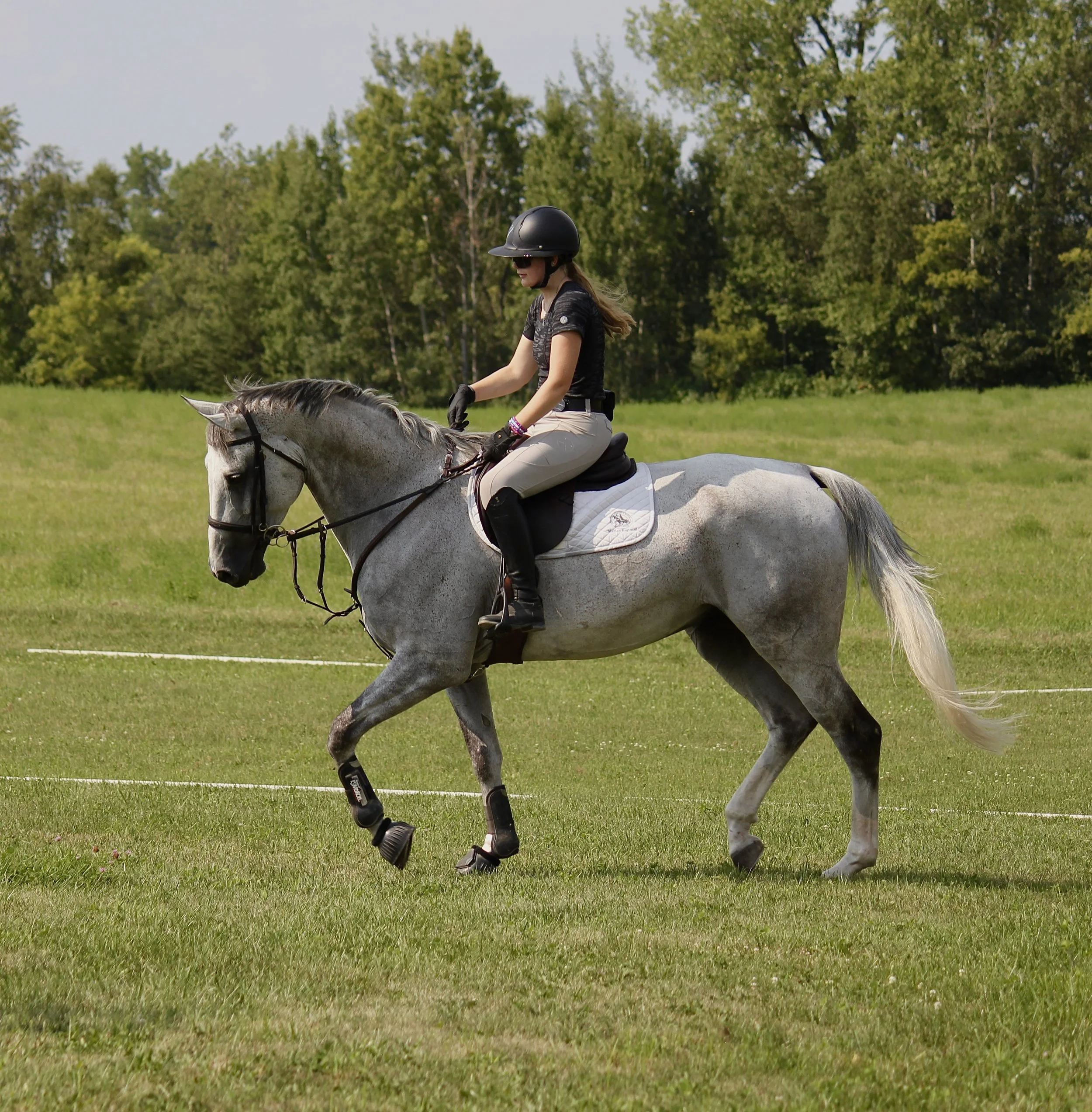 IMG_6945 2.jpg