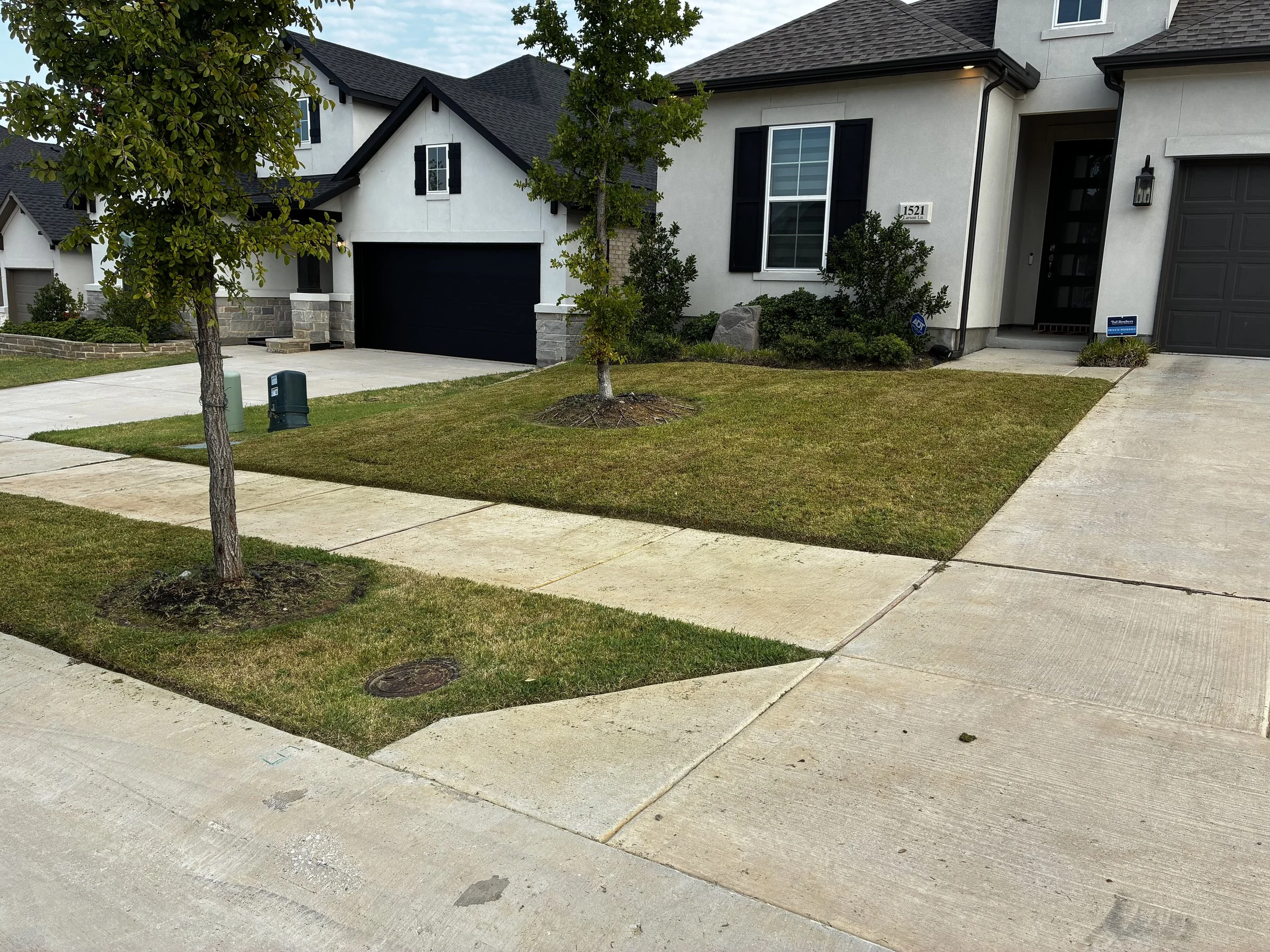 Front yard of a modern house with a driveway, trees, small bushes, and a well-maintained lawn.