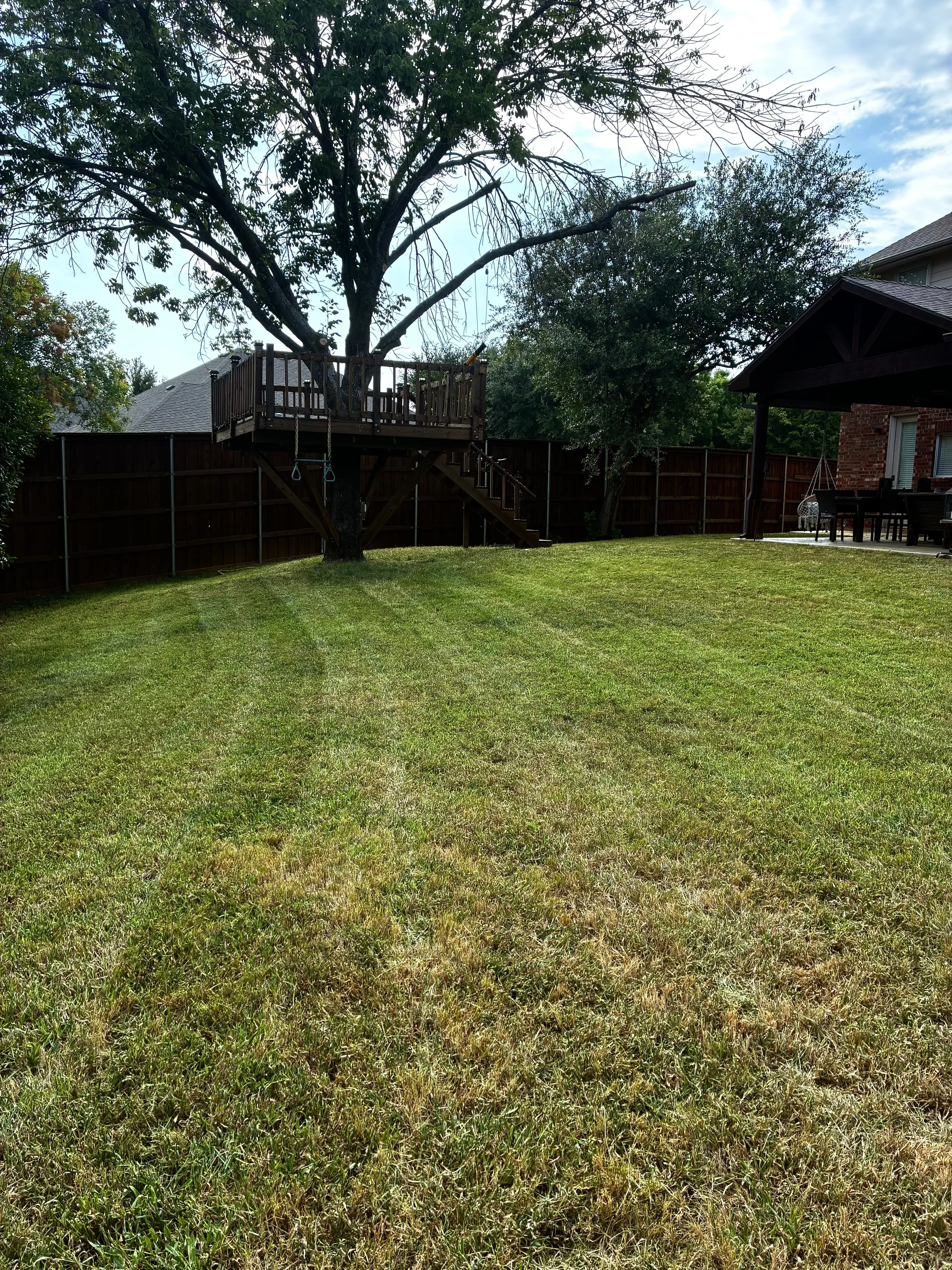 A backyard with green grass, a large tree with some leaves and some bare branches, a wooden deck with stairs, and a house with a brick exterior and a covered patio area.