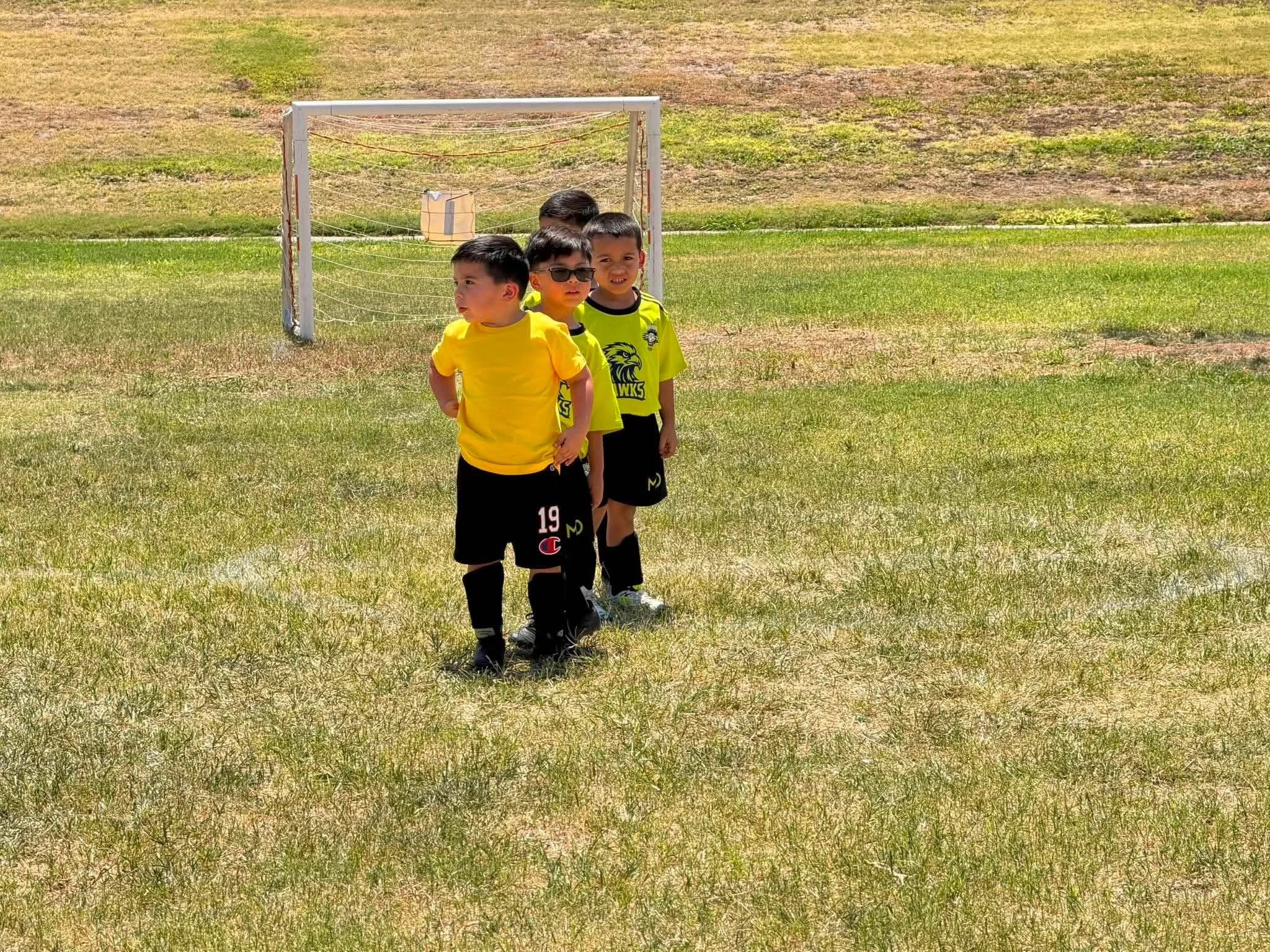 Four young boys in yellow sports jerseys standing in line on a grassy field, near a small soccer goal, with some patchy grass and an open field in the background.
