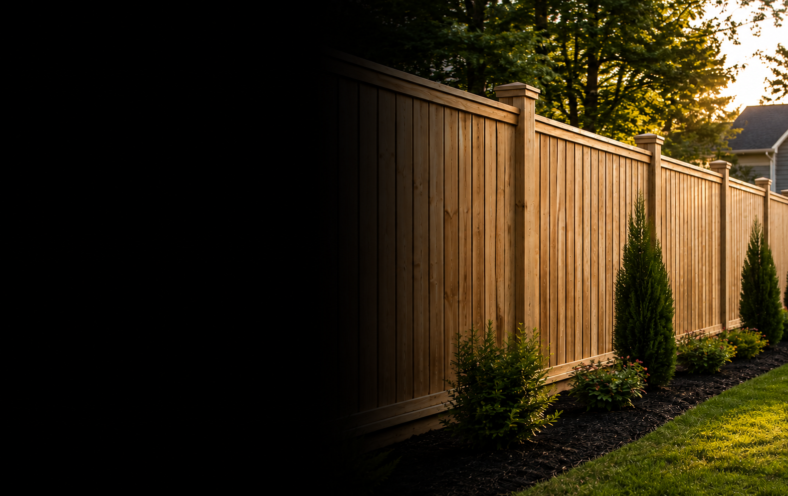 A wooden privacy fence in a backyard at sunset, with small green shrubs and a tree behind the fence.