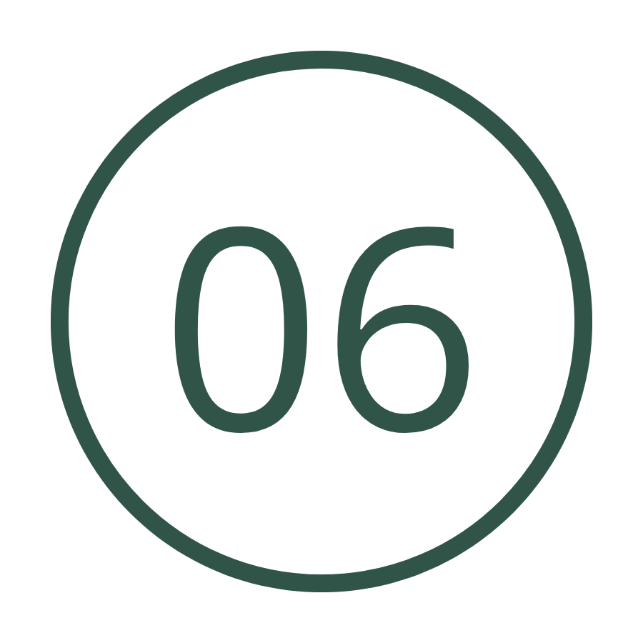 Number 06 inside a white circle with a green outline.
