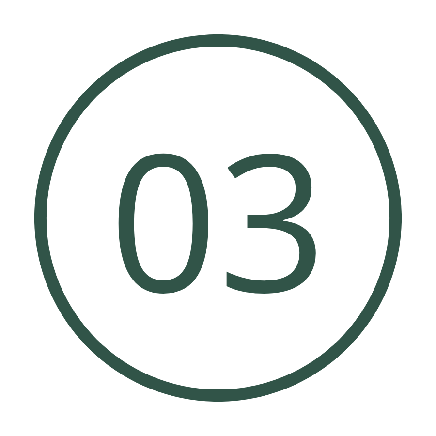 Number 03 inside a circular border.