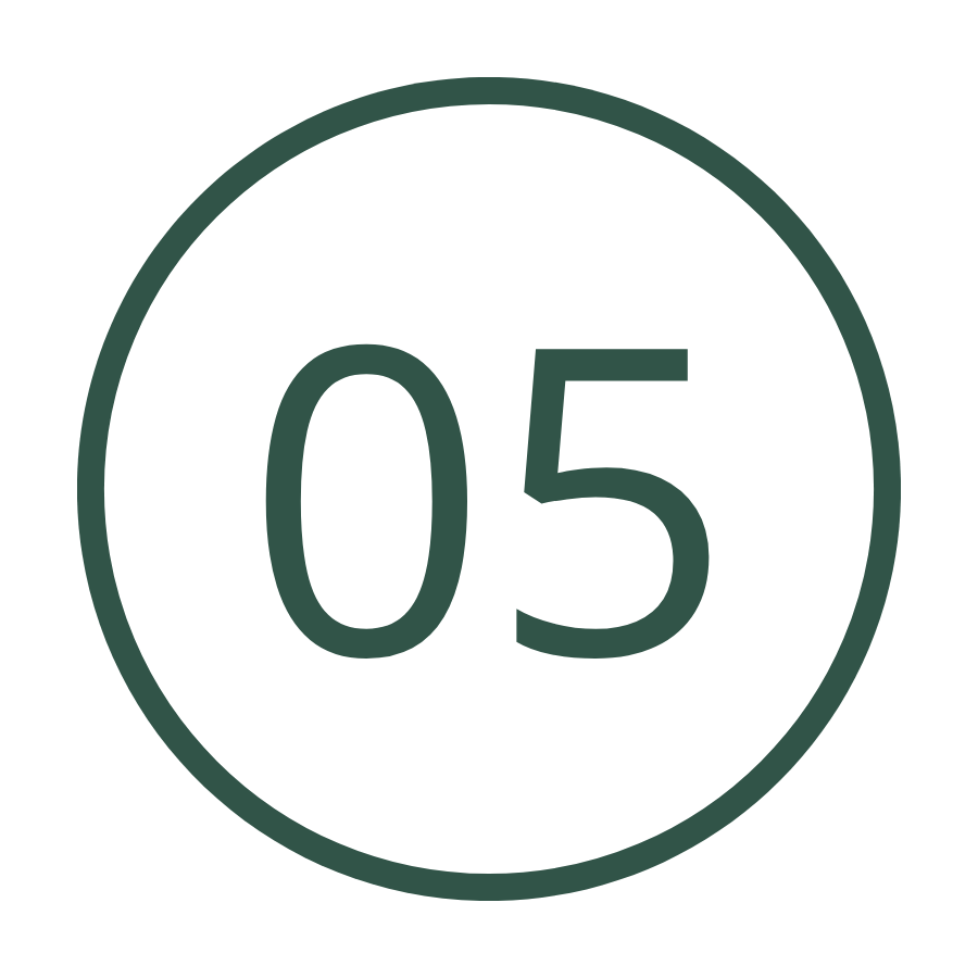 Number 05 inside a white circle with a green outline.