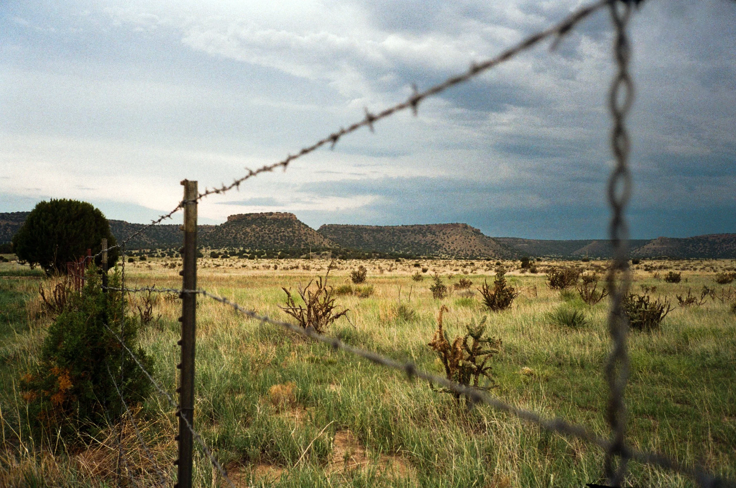 000019940007.jpg