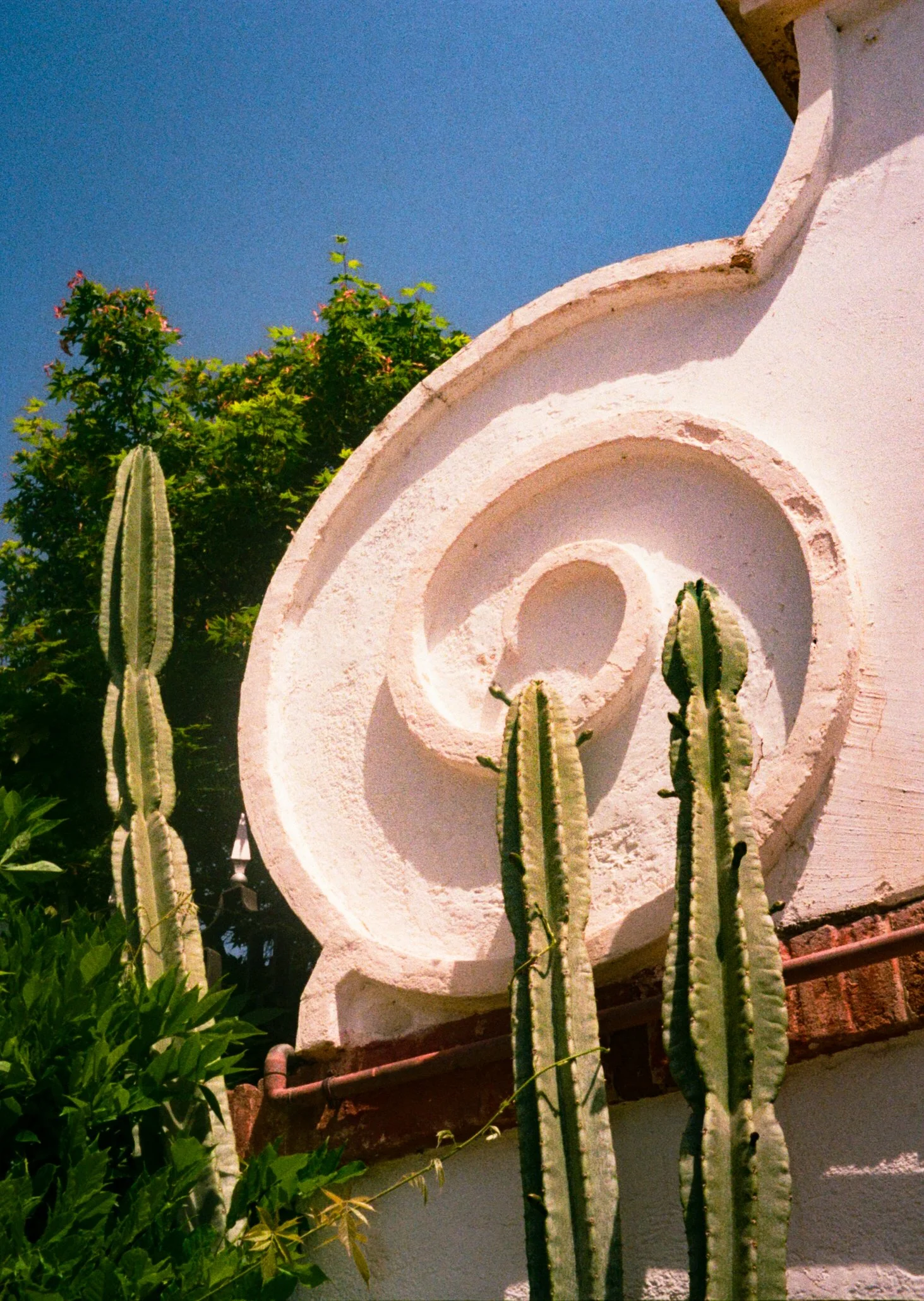 000019910056.jpg