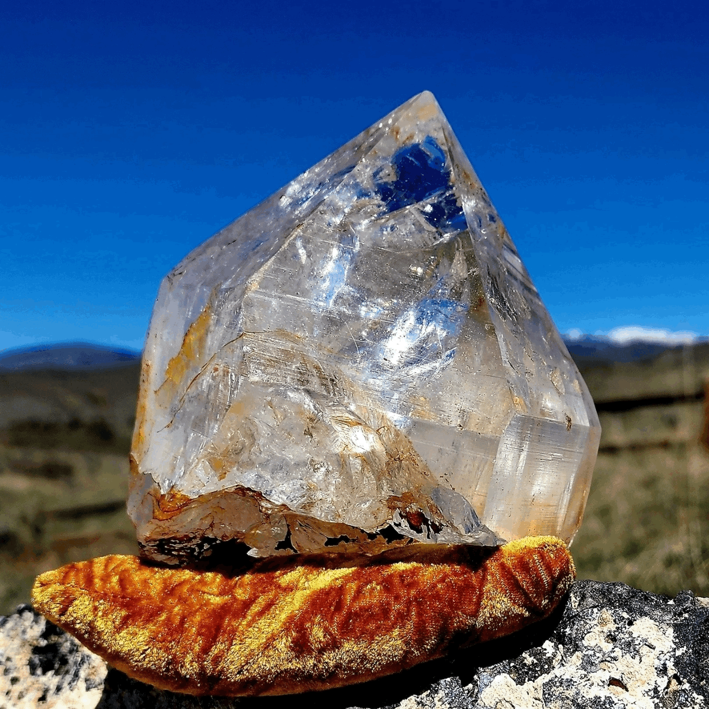 Himalayan Golden Healer