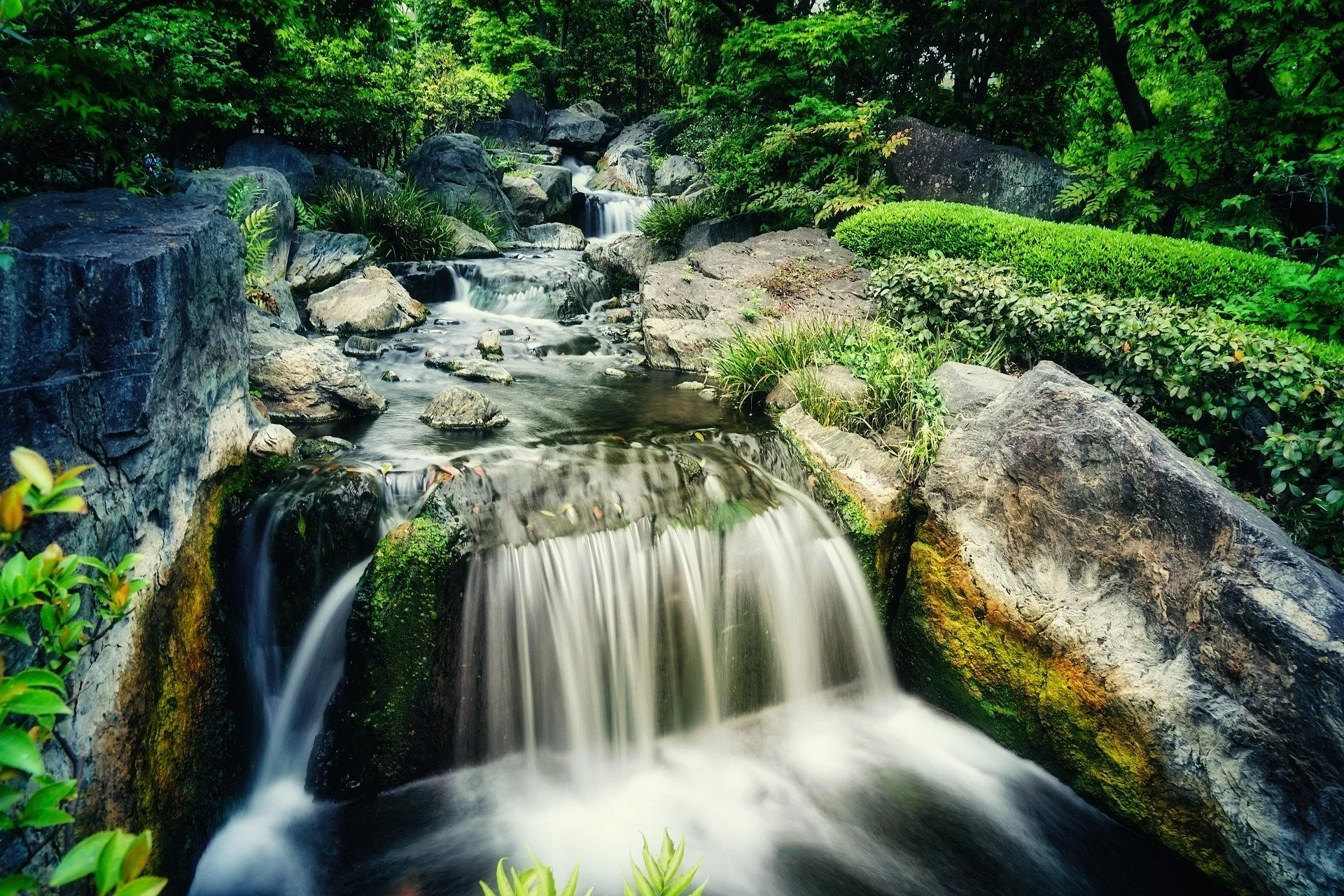 A small waterfall flowing over rocks in a lush green forested area.