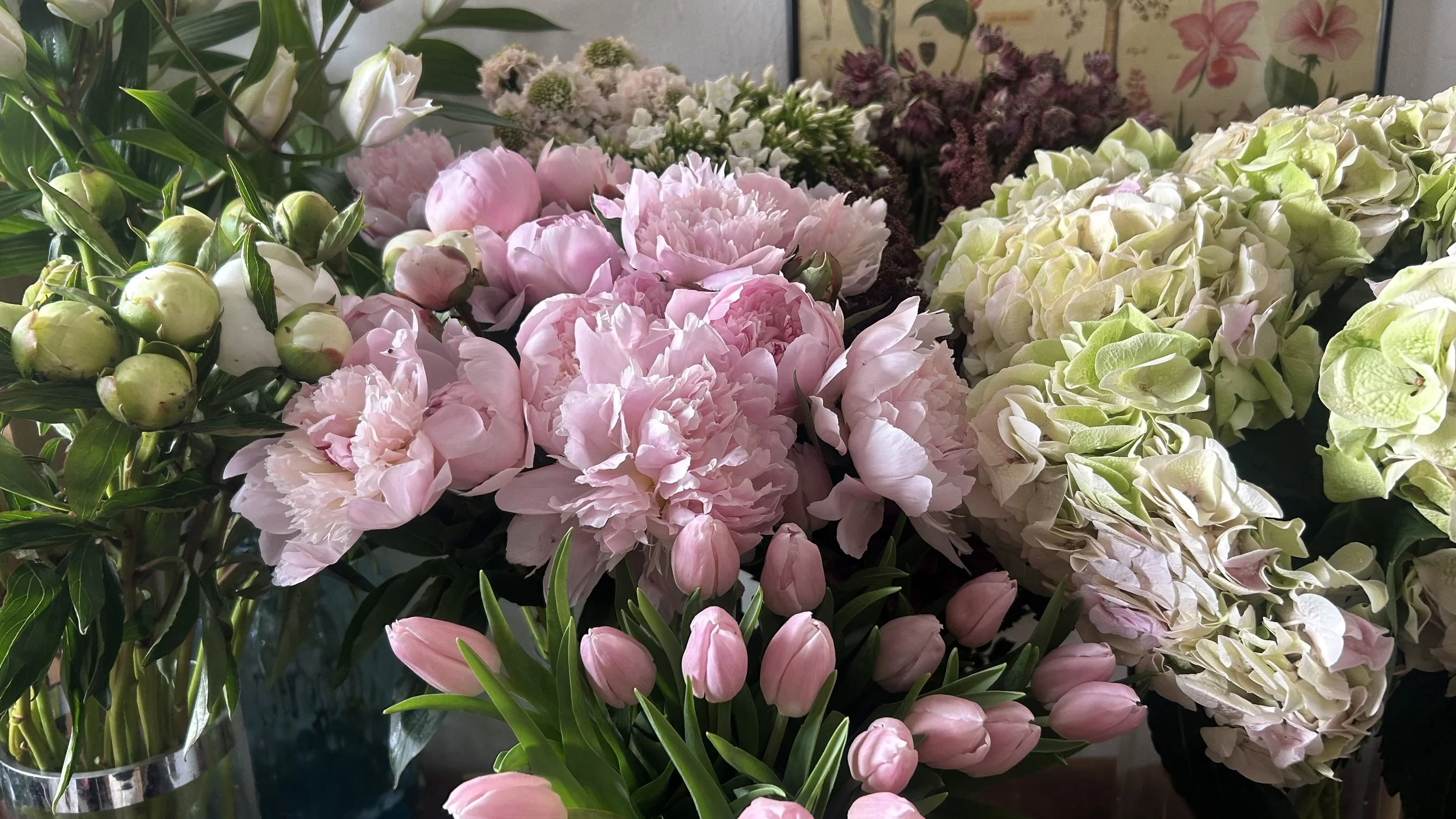 A collection of various flowers, including pink peonies and tulips, as well as white and green hydrangeas, displayed in vases.