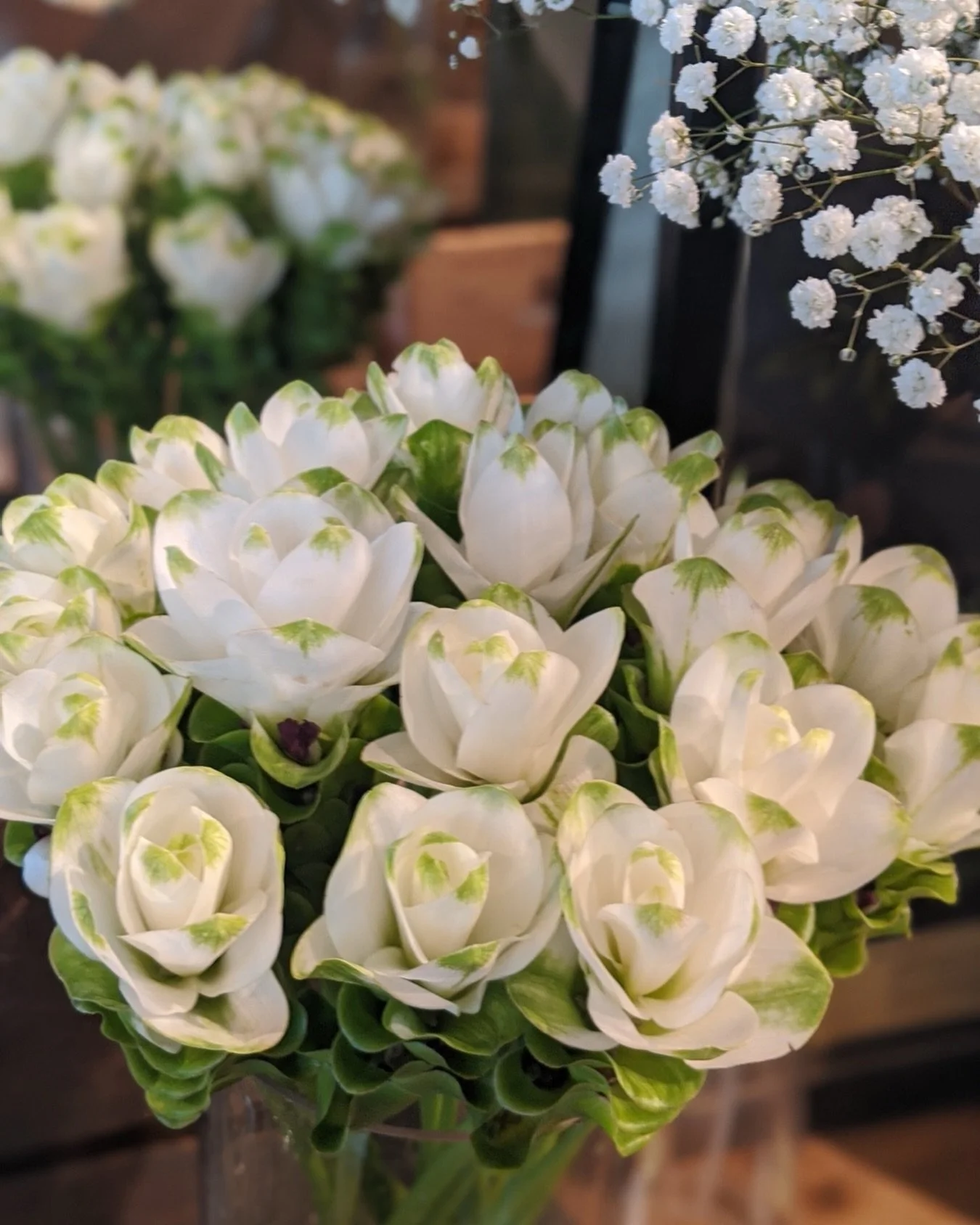 A beautiful choice for those who appreciate flowers beyond the ordinary #siamtulip #curcumaflower
