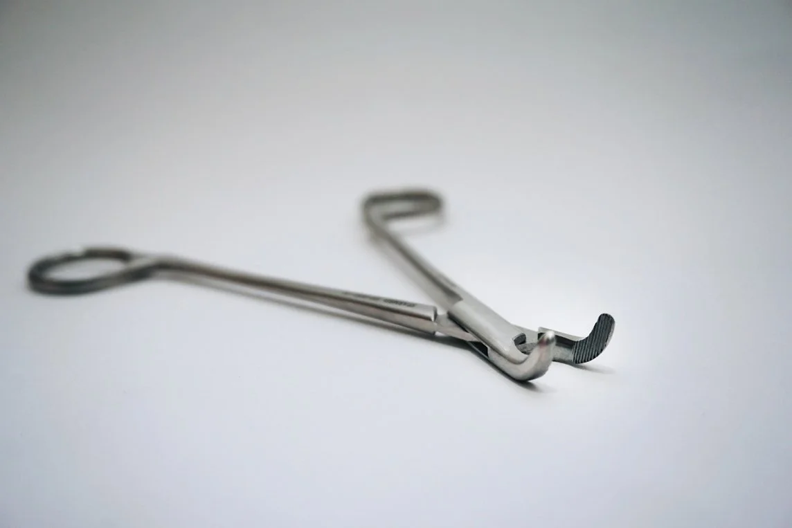 rodent molar extraction.JPG