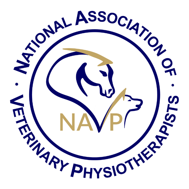 NAVP-Logo-Circle.webp