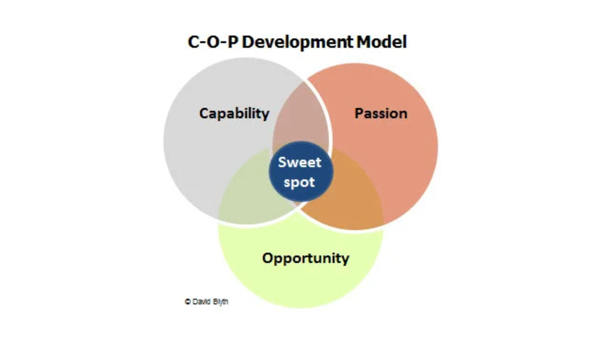 Making room for passion in business
