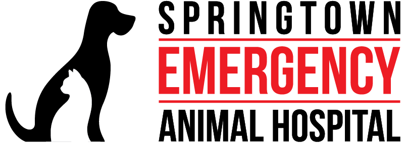 Springtown Emergency Animal Hospital