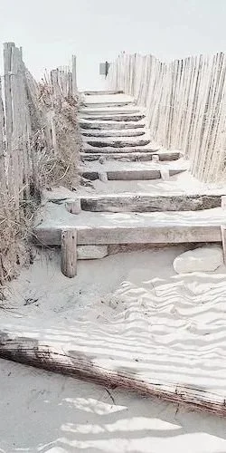 Wooden staircase leading up a sandy beach, framed by weathered fence panels on both sides.