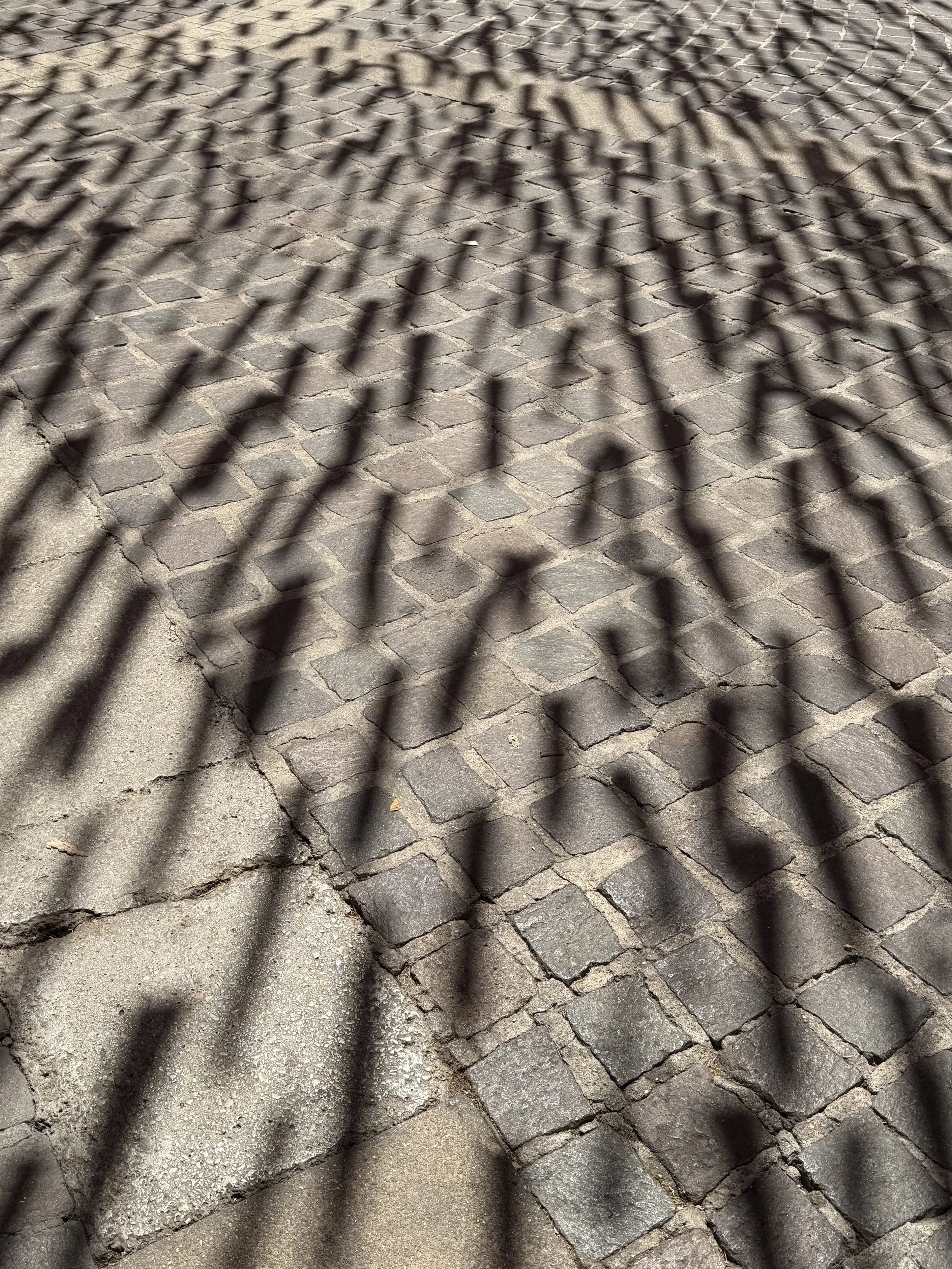 Shadow of a fence cast on a cobblestone sidewalk.