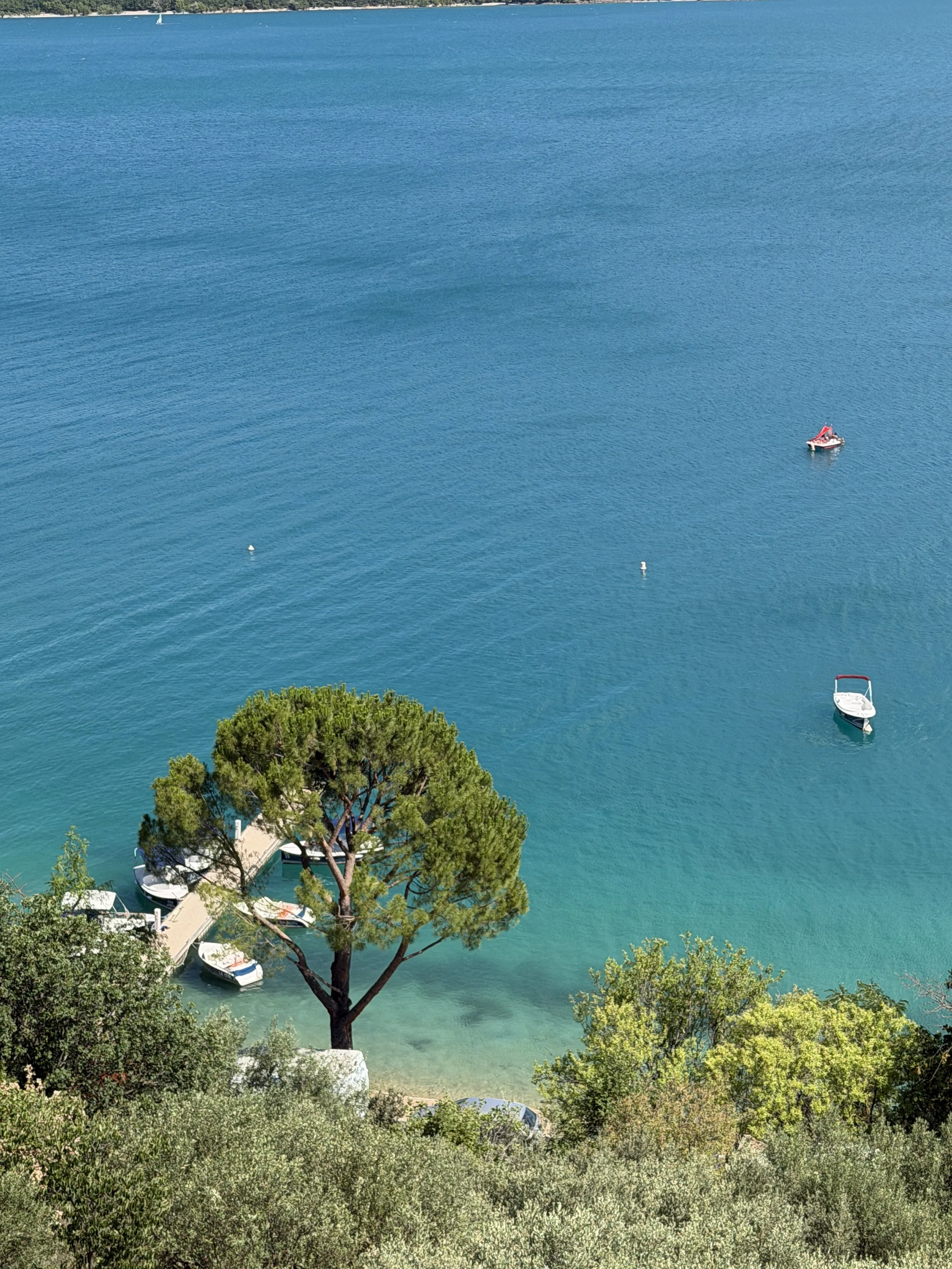 Overhead view of a marina with boats docked along the shoreline and a small boat floating on the calm water, surrounded by trees and greenery.