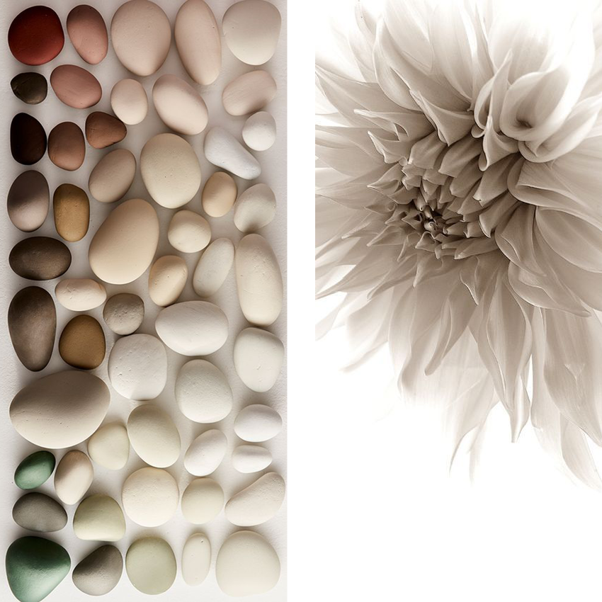 A collection of variously shaped pebbles and stones in neutral tones on the left, and a close-up of a large white flower on the right.