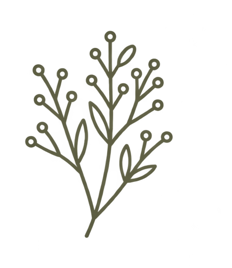 Line drawing of a sprig with small, round buds or berries at the tips of its branches.