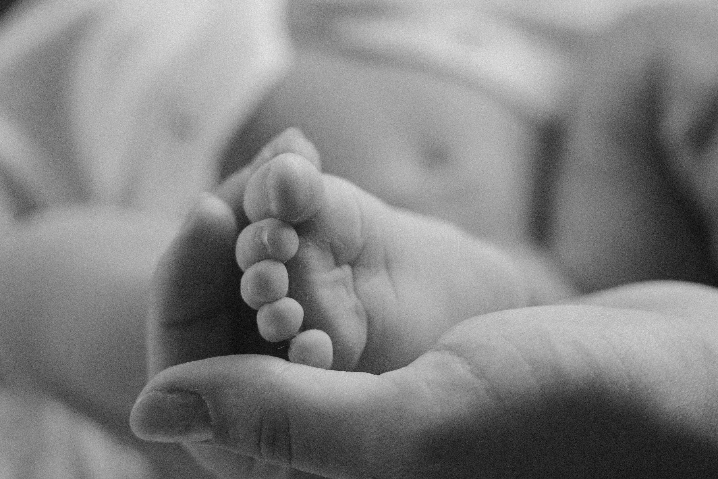 Close-up of a baby's hand grasping an adult's finger in black and white.
