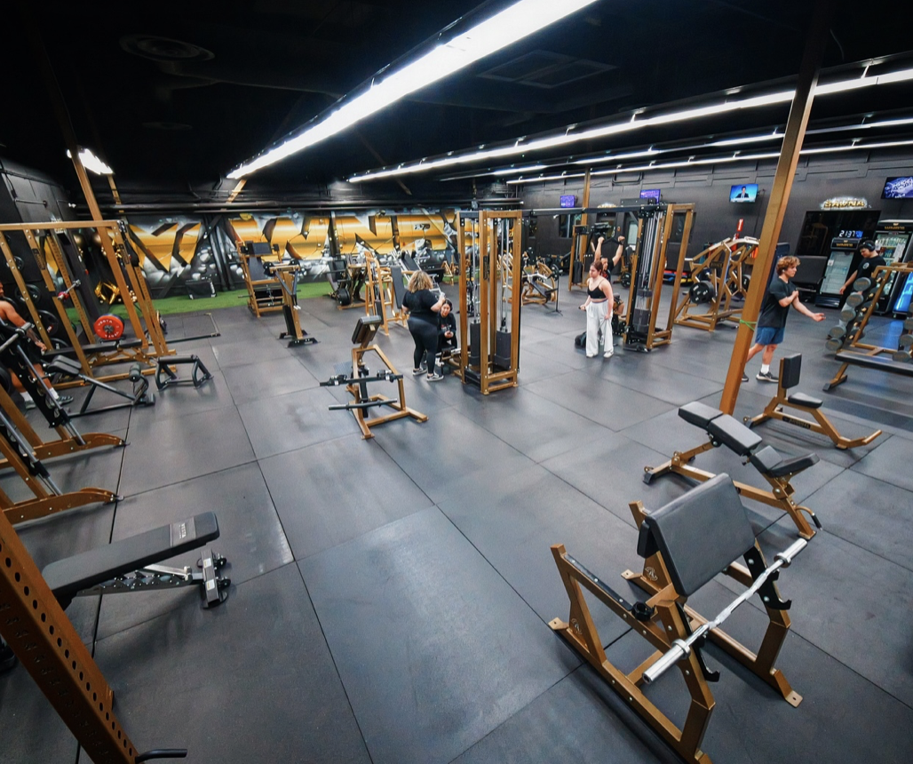 WNRS Circle Gym Burbank squat racks and lifting platforms