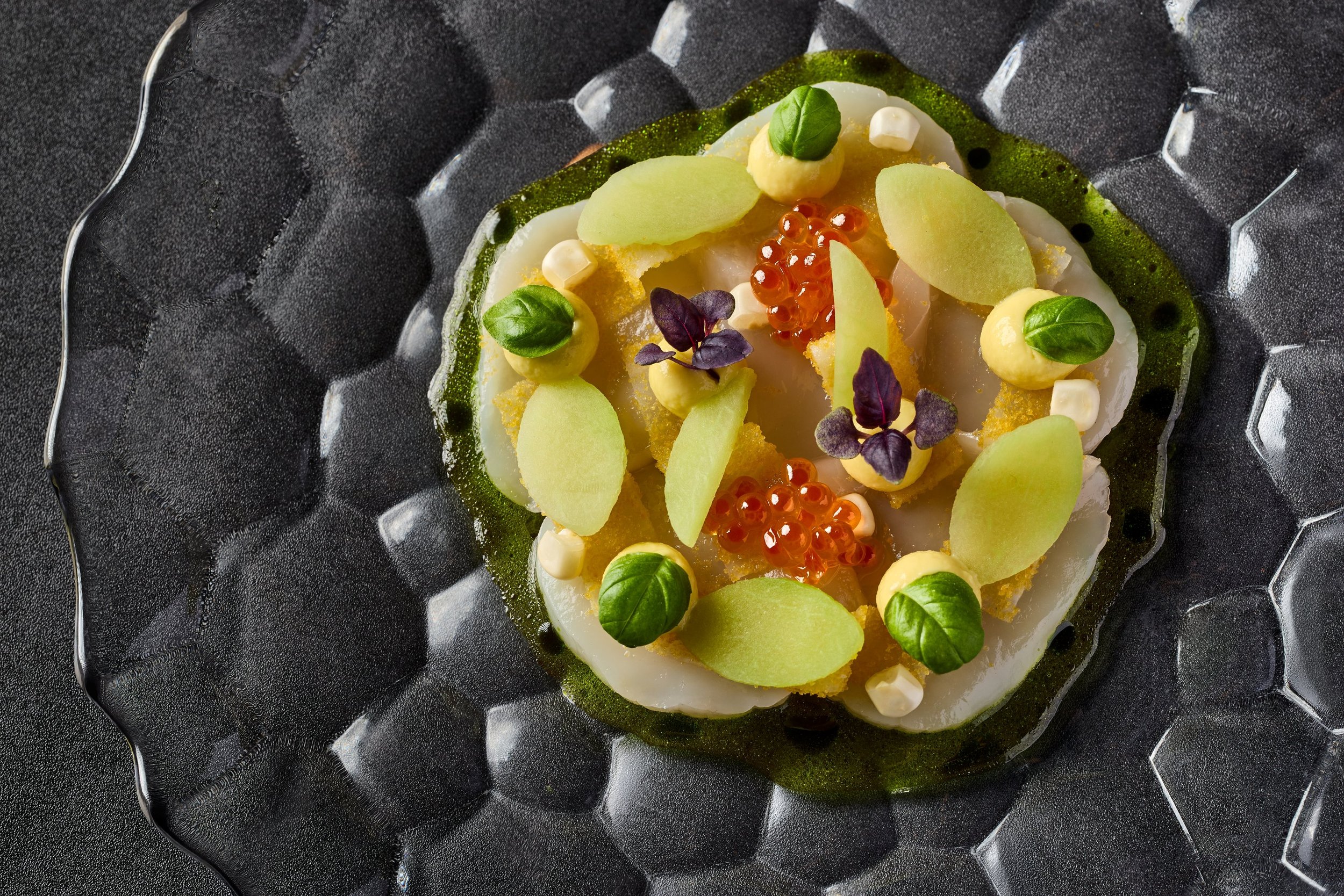 scallop.jpg